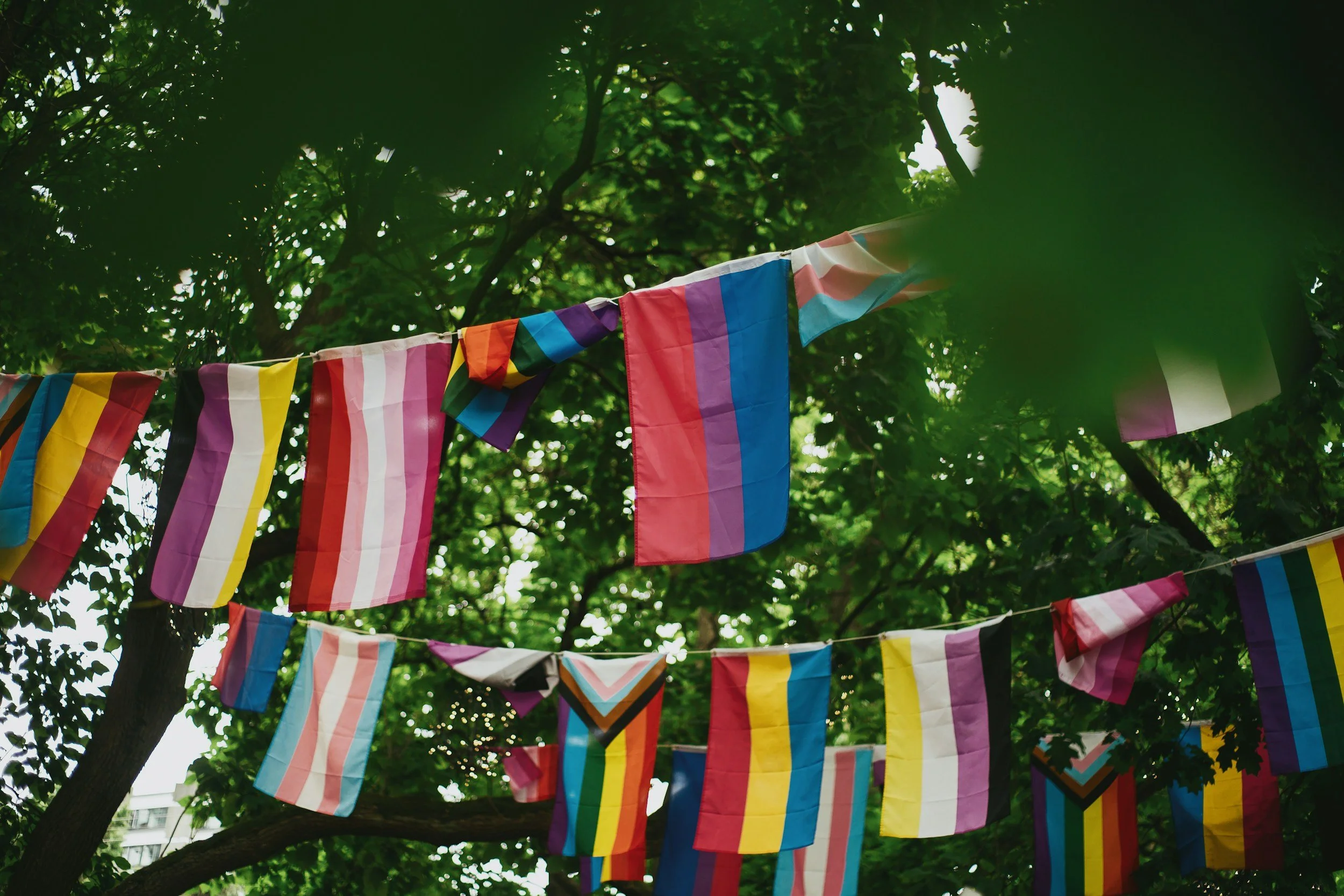 What in the LGBTQIA+? Questions you might be asking if you are in the process of coming out