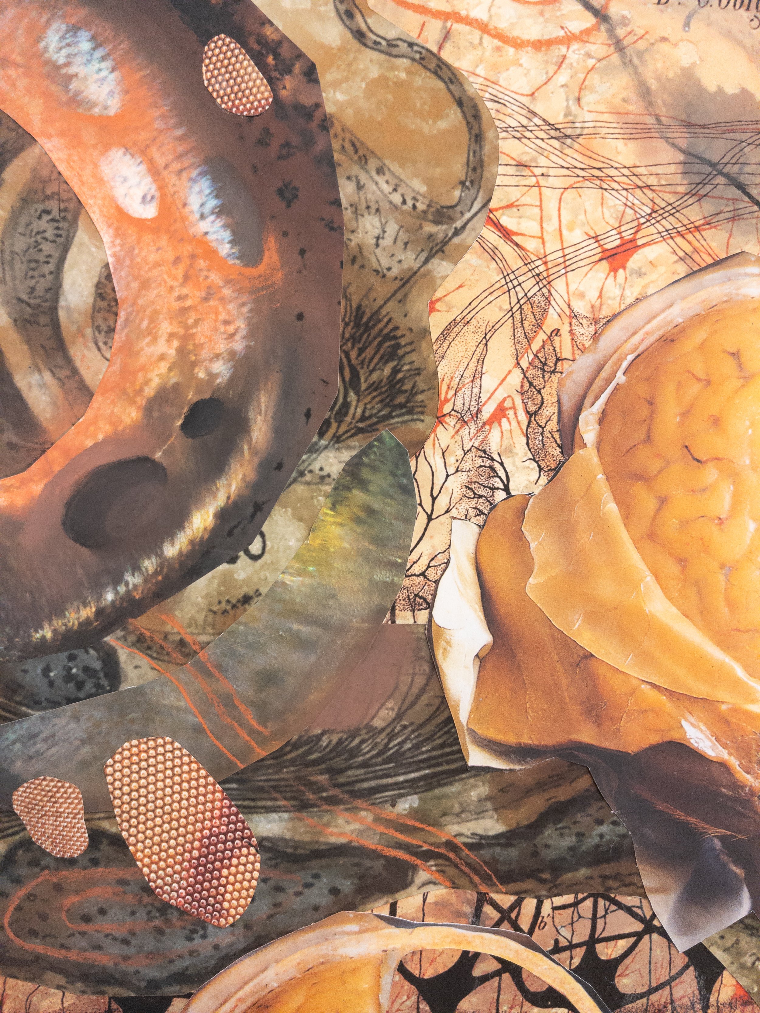 Connectivity (2025, collage)