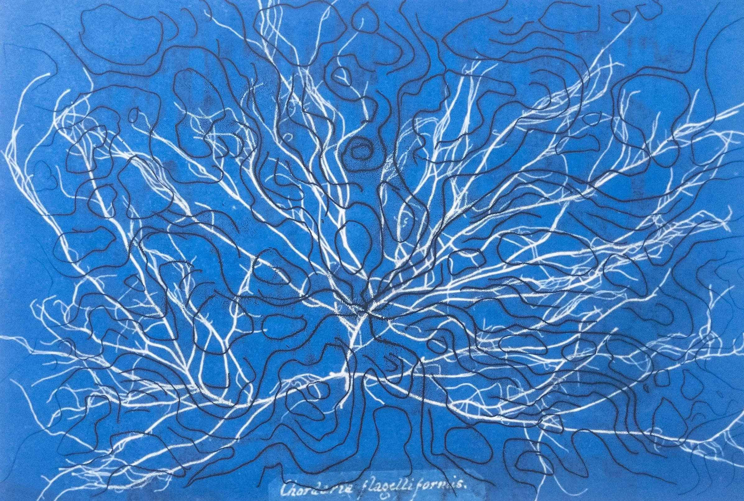 Flagelliform (2025, monoprint)