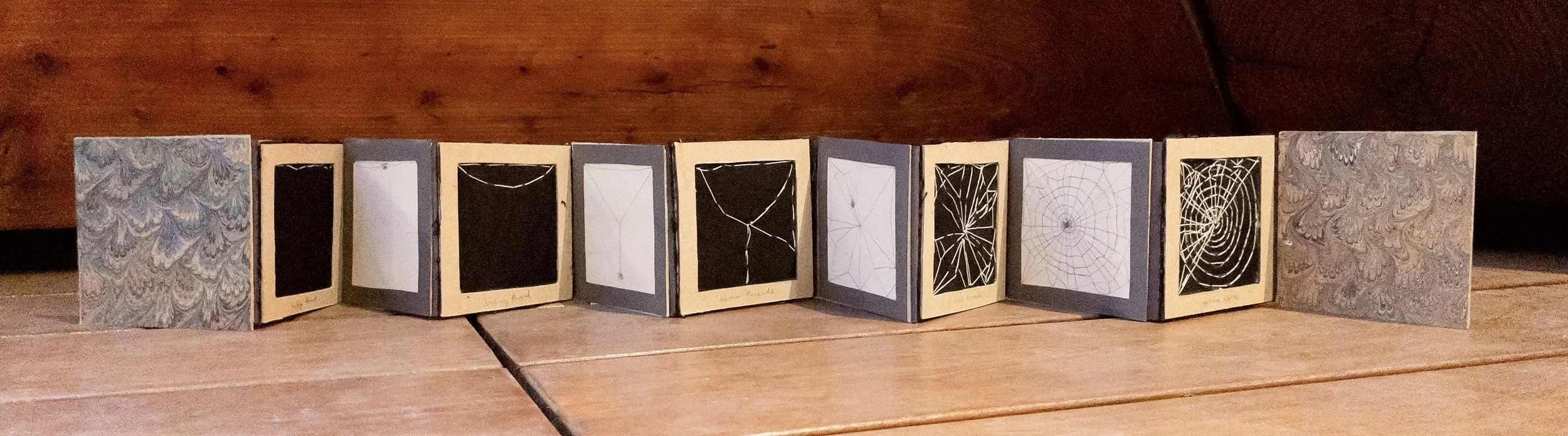 orb weaver evening routine (2024, book)