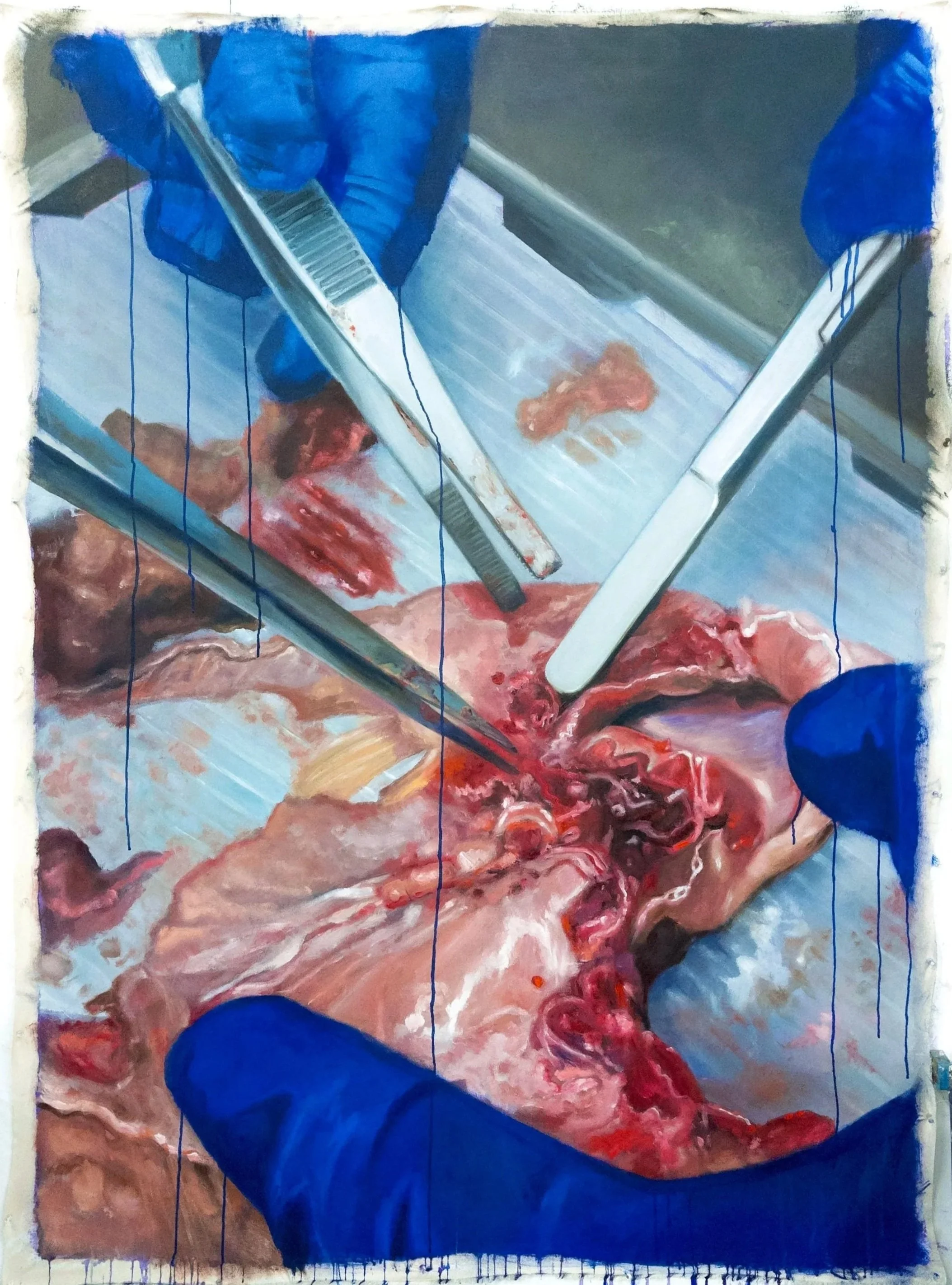 Amateur Fish Dissection