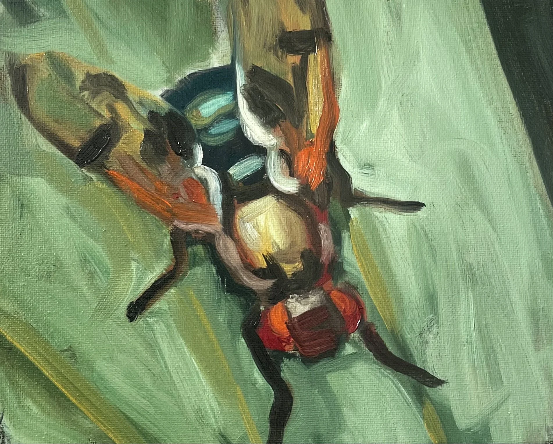 Fly study (2025, oil)
