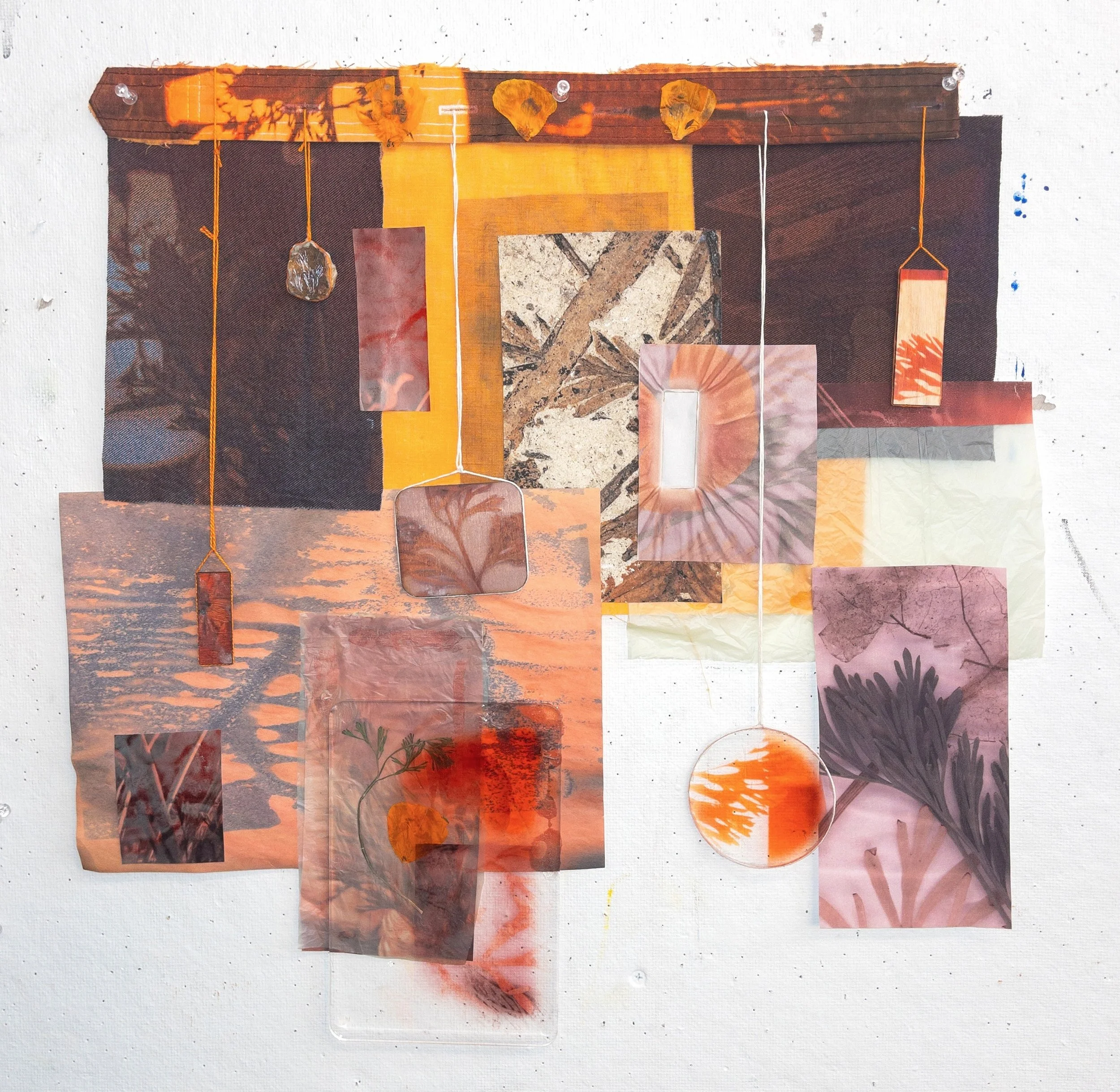 poppies bloom from the seeds of my heart i've scattered in california