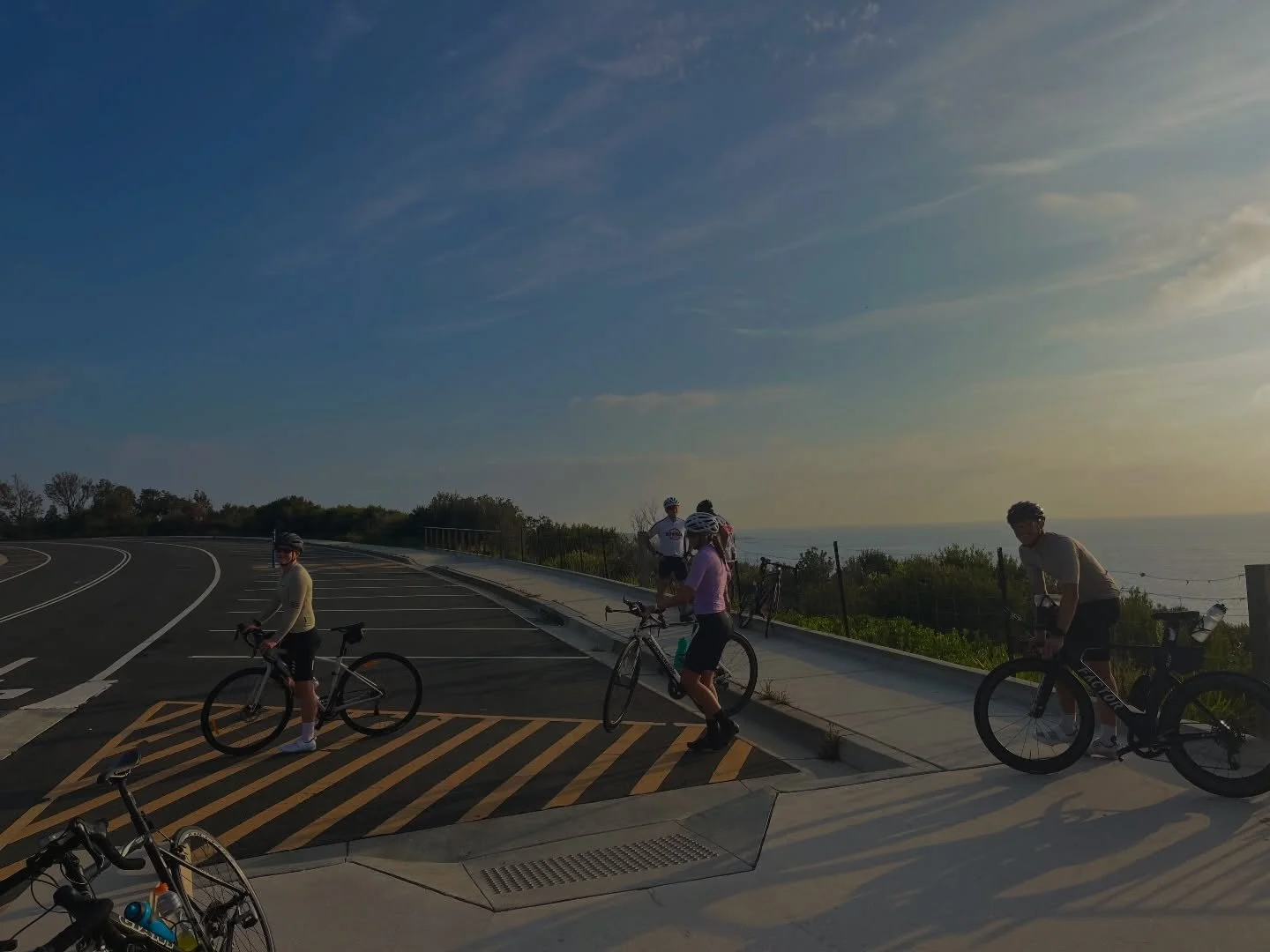 PhD land is PhD landing for week 8 of the year !! 

💫 probably my most productive week of my life research wise 
💫 officially back at uni and I&rsquo;ve had a super fun time getting my teaching materials ready for the semester
💫 loving the long ri