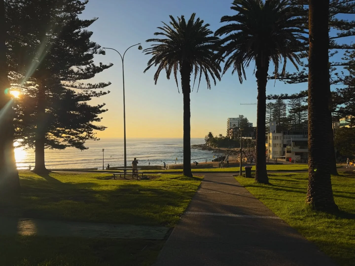 10 weeks in ! 

🧪 felt like a crazy scientist at statistics training this week 
🧪 favourite weekly event at the moment is coffee with @daniel.tait after he endures yet another bike ride
🧪 saw my gorgeous friends and tried to sneak a photo of a ver