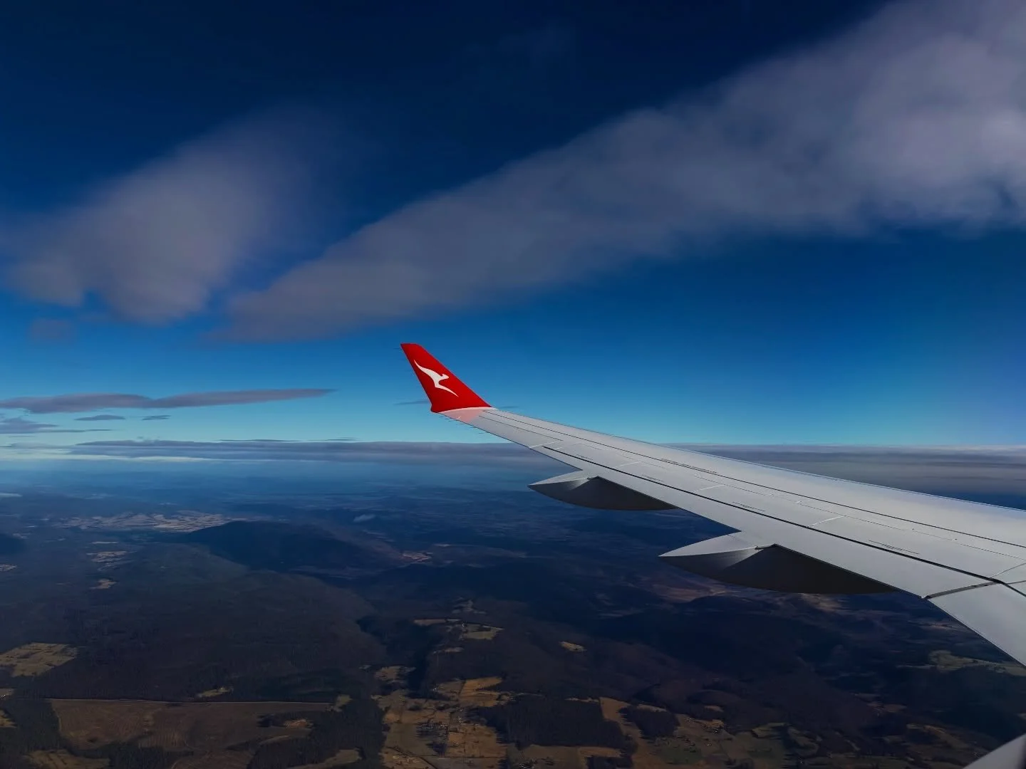 Week 13 of the year has been very very fun !! 

🦔 a trip down to Tasmania to present some of my work at the @asmirtorg conference
🦔 Dan and I explore a bit of Hobart and he organised a wombat encounter that exceeded expectations (see images of pebb