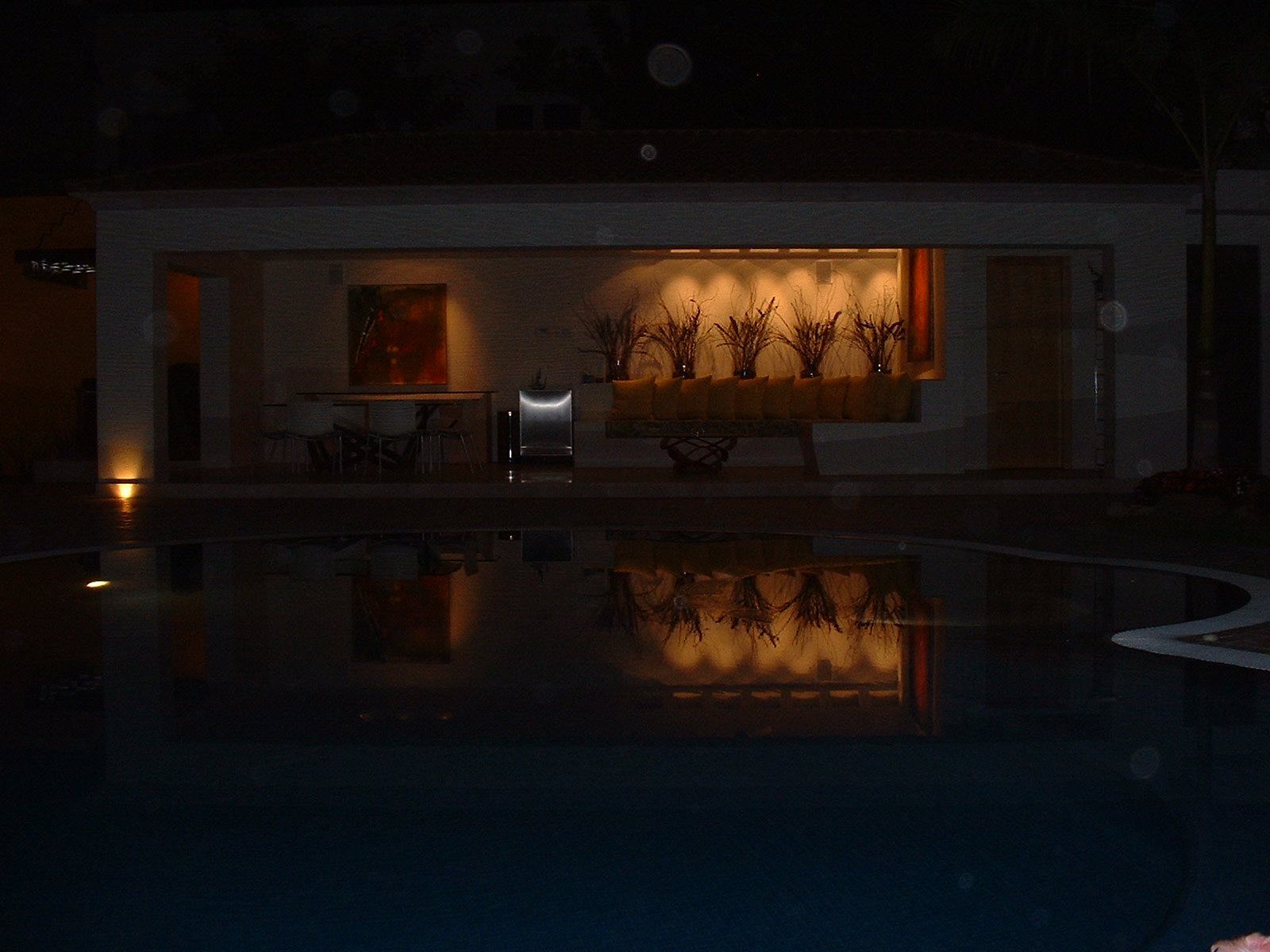 alberca noche.jpeg