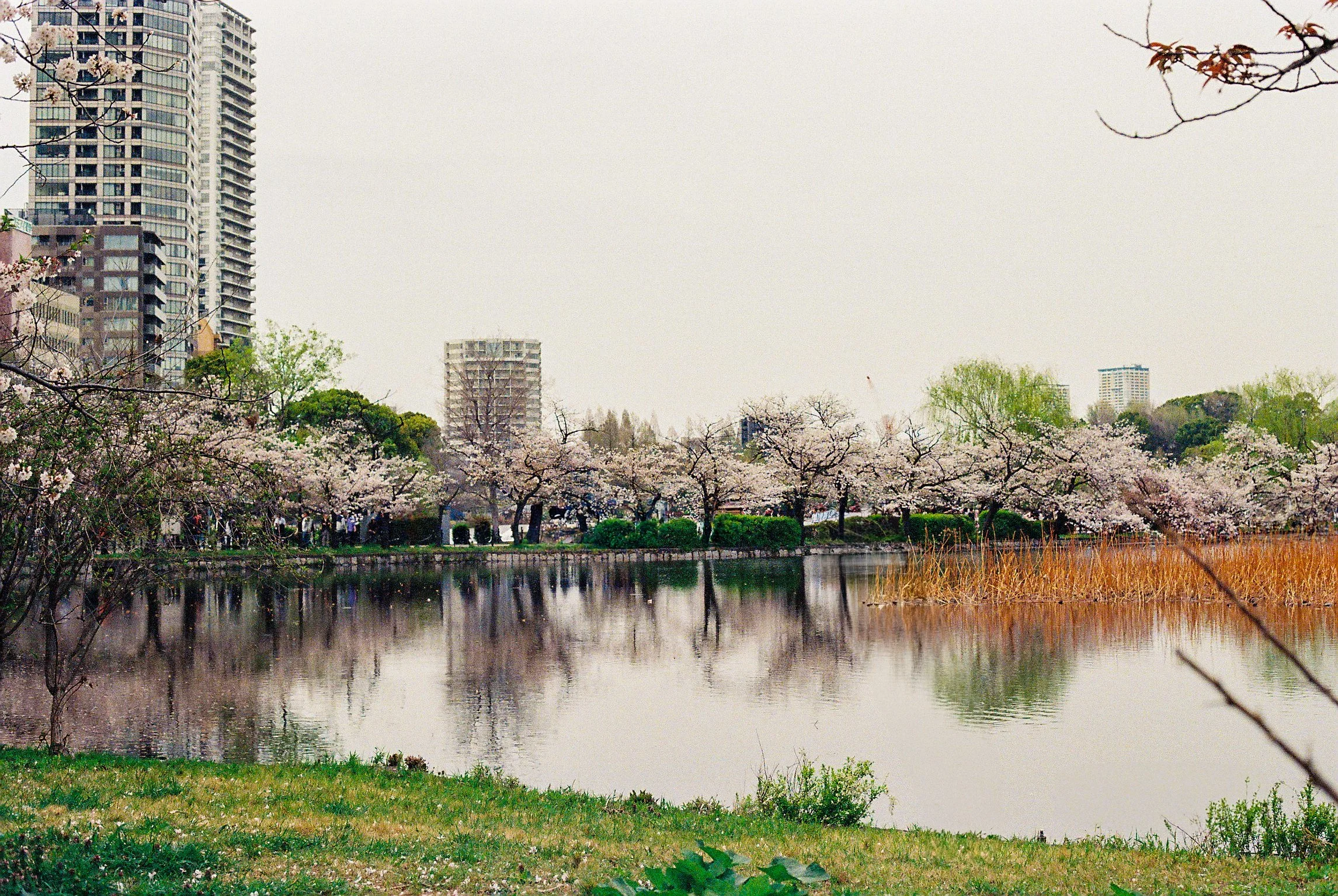 A06225_010A.jpg