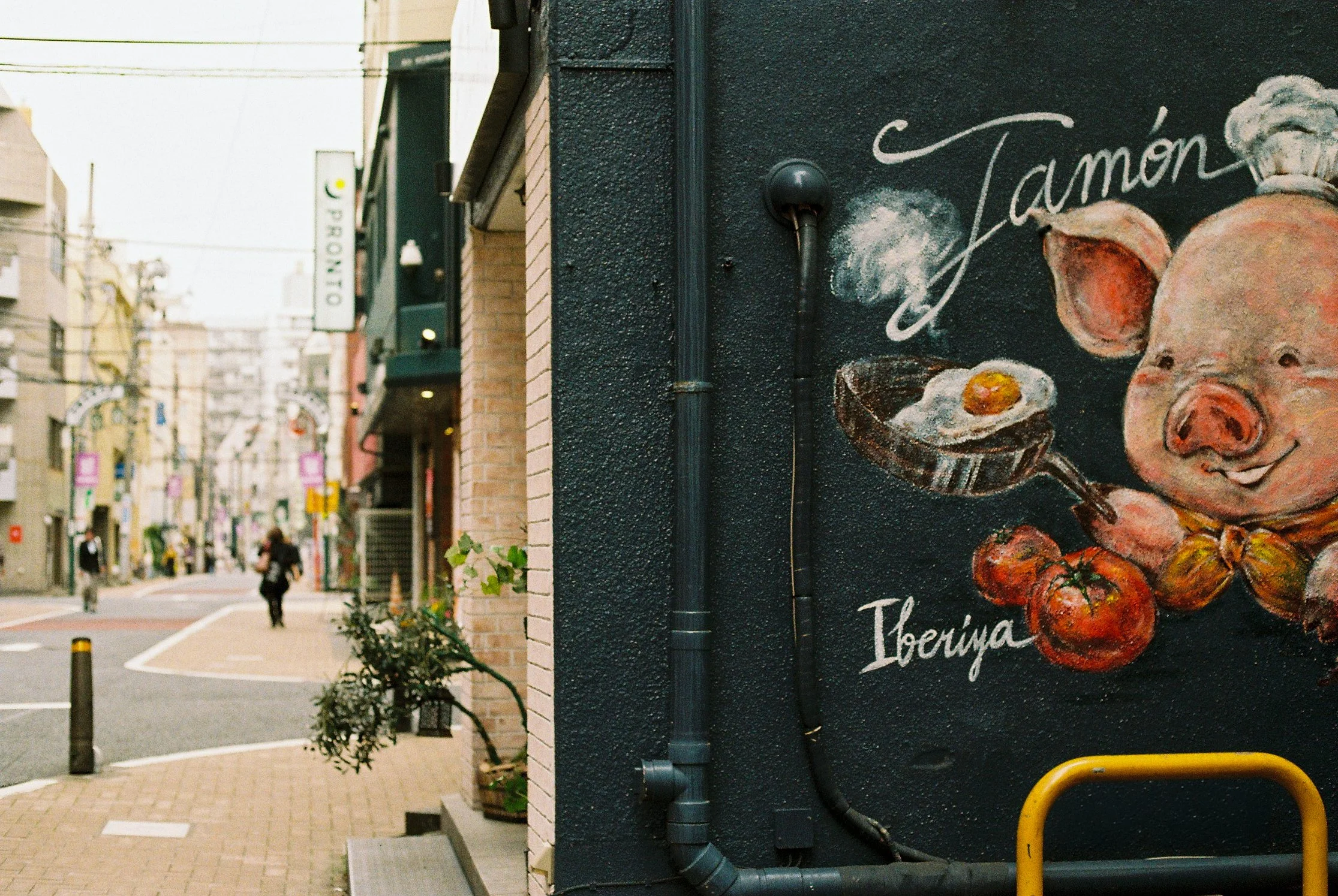 A06230_008A.jpg