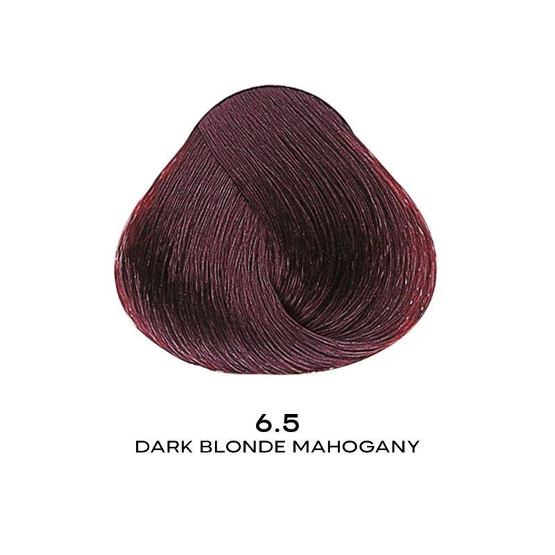 ALFAPARF EVOLUTION COLOR 6.5 - DARK BLONDE MAHOGANY 2.05 OZ