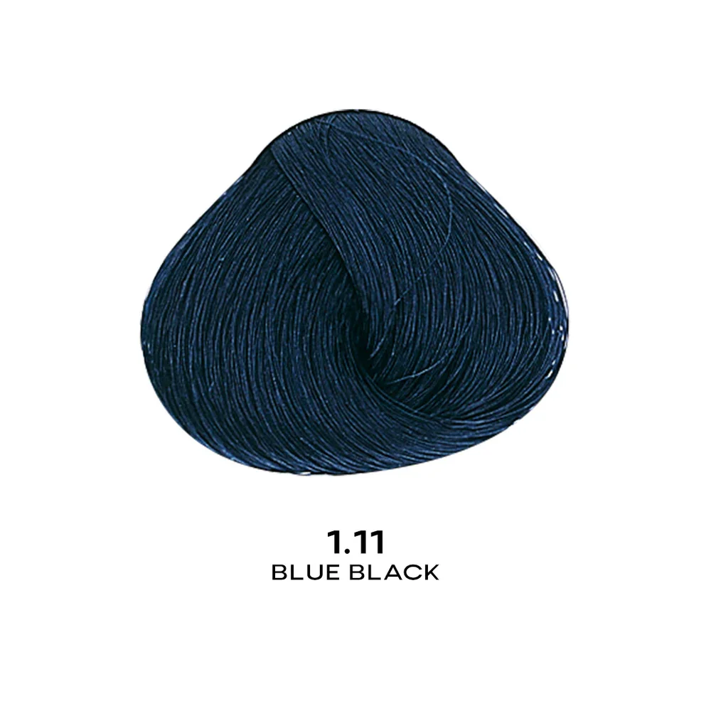 ALFAPARF EVOLUTION COLOR 1.11- BLUE BLACK 2.05 OZ