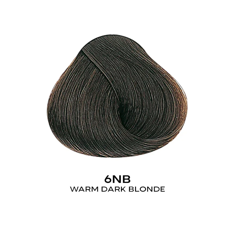 ALFAPARF EVOLUTION COLOR 6NB- WARM DARK BLONDE 2.05