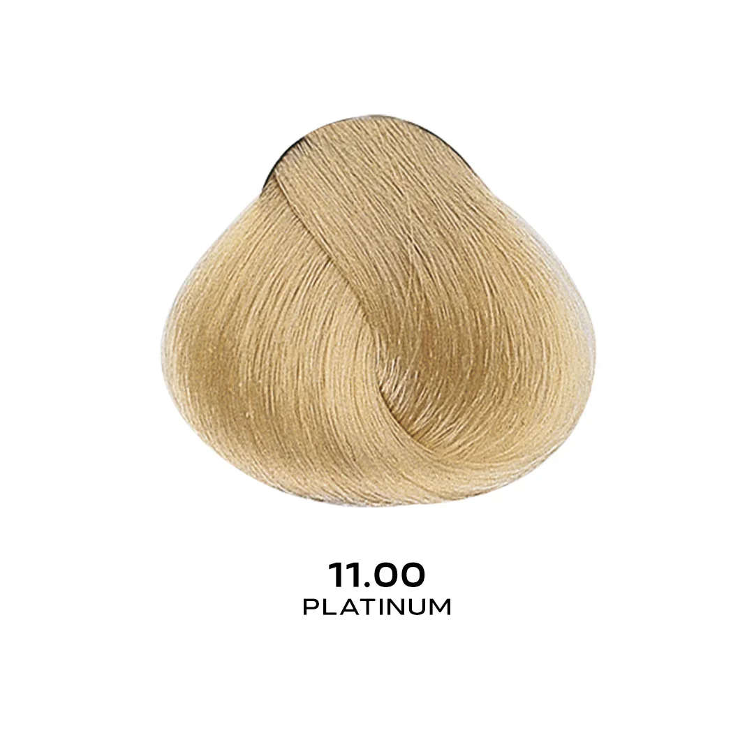 ALFAPARF EVOLUTION COLOR 11.00 - PLATINUM 2.05 OZ