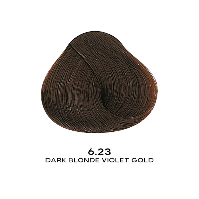 ALFAPARF EVOLUTION COLOR 6.23 - DARK BLONDE VIOLET GOLD 2.05 OZ