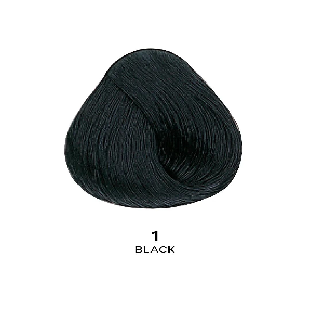 ALFAPARF EVOLUTION COLOR 1.0 - BLACK