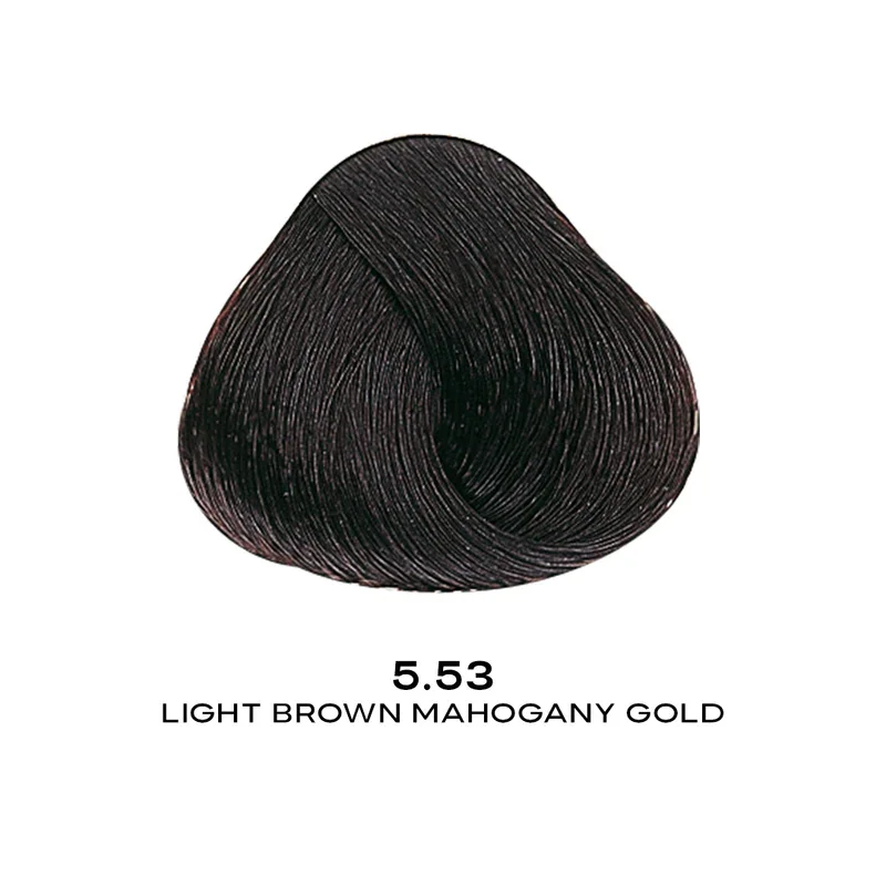 ALFAPARF EVOLUTION COLOR 5.53 - LIGHT BROWN MAHOGANY GOLD 2.05 OZ