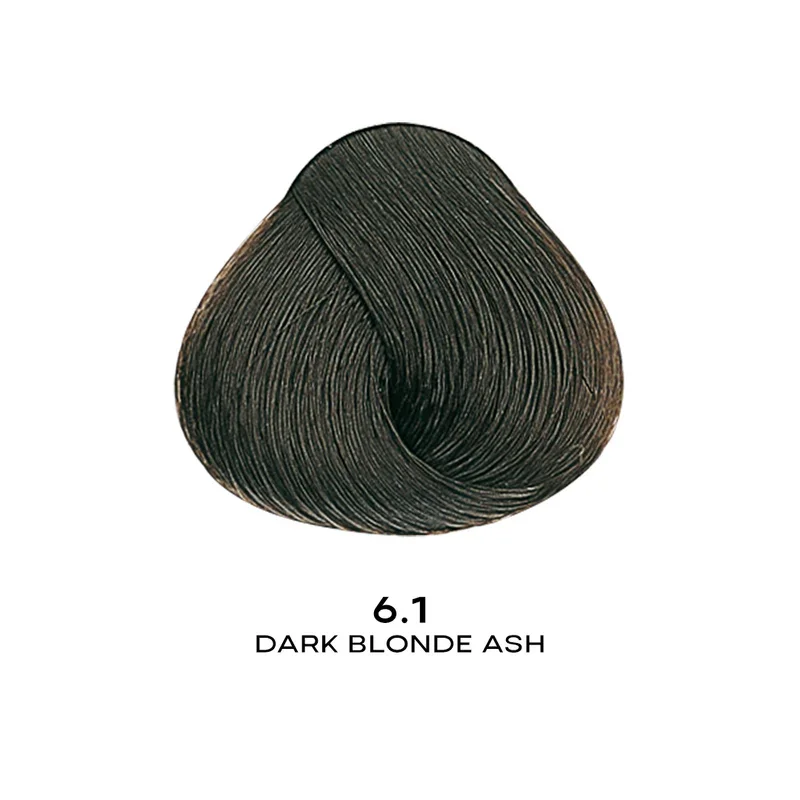 ALFAPARF EVOLUTION COLOR 6.1 - DARK BLONDE ASH 2.05 OZ