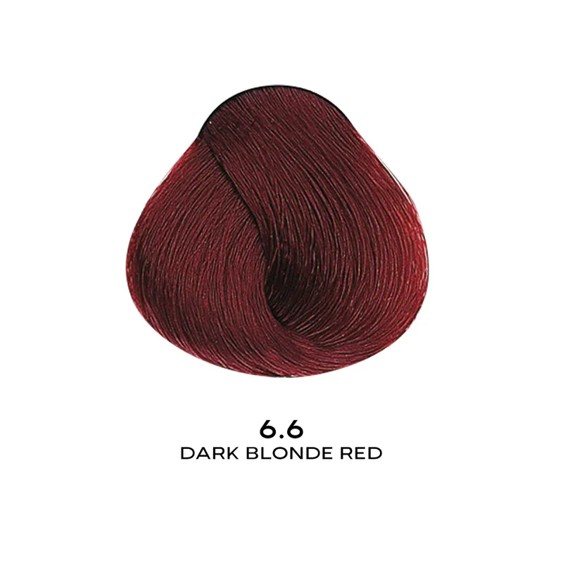 ALFAPARF EVOLUTION COLOR 6.6 - DARK BLONDE RED 2.05 OZ