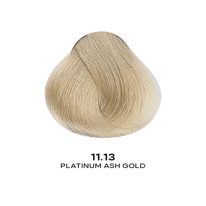 ALFAPARF EVOLUTION COLOR 11.13 - PLATINUM ASH GOLD 2.05 OZ