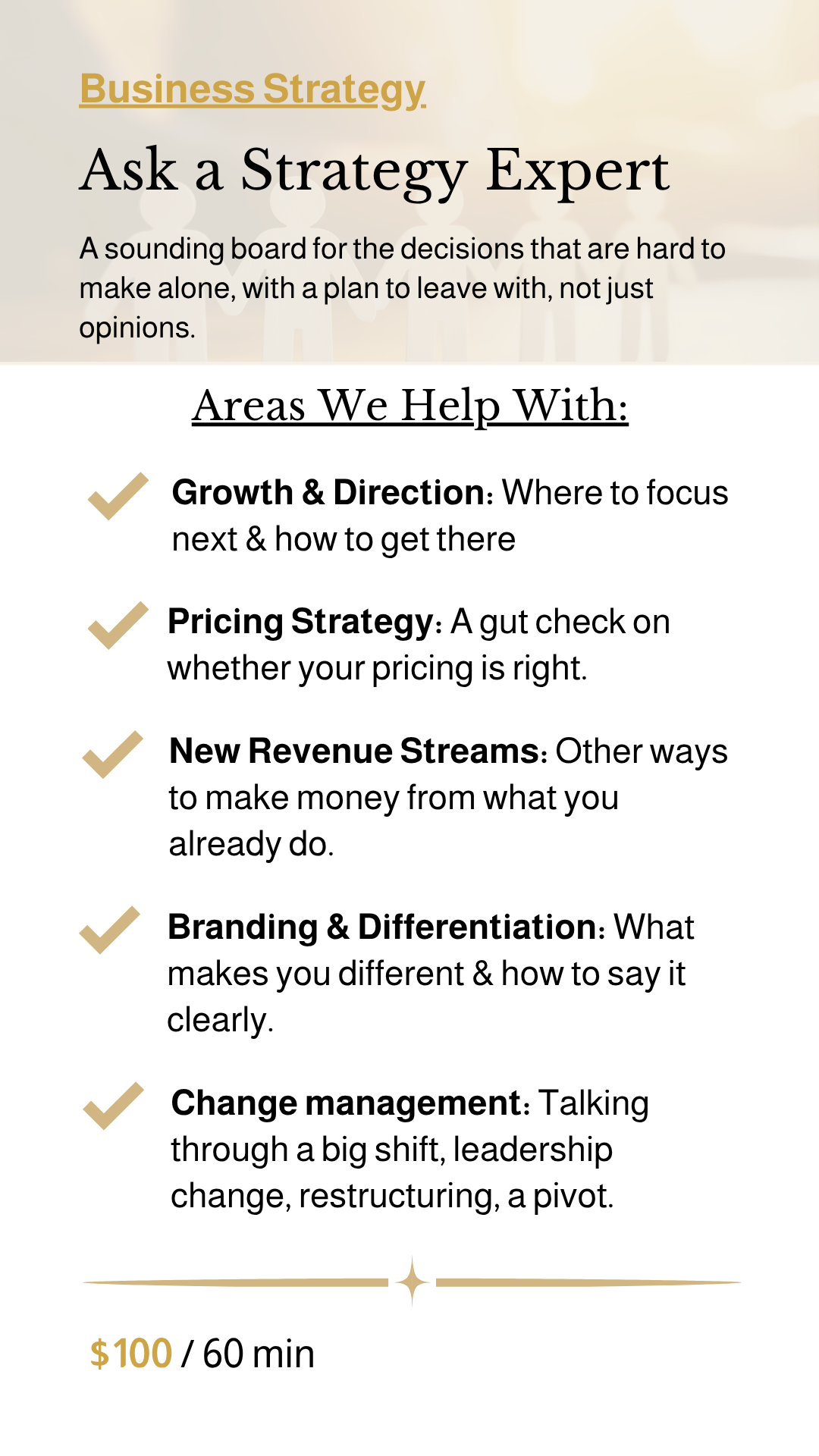 1:1 Business Strategy Session