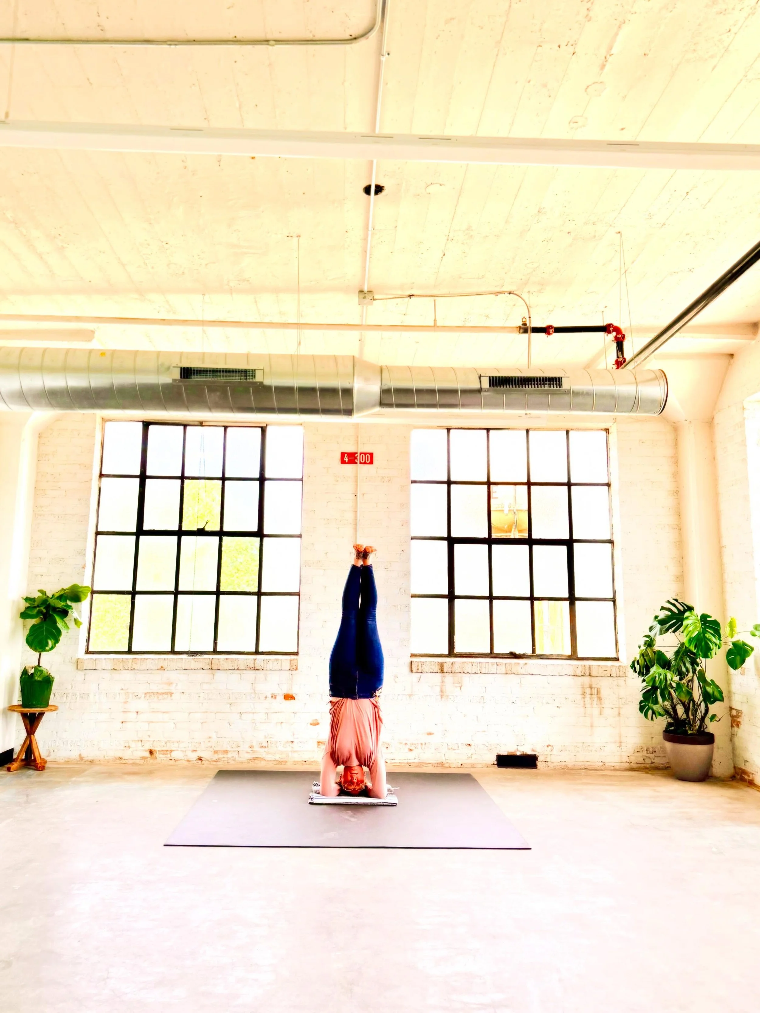 @helefahn is BACK! So if you got a sore one you know what to do! 🤗 ✨

Iyengar Yoga is the secret sauce to aligning your entire body - so when you emerge back into the world after a class with Helena your mind and spirit follow! 💫 She&rsquo;s been a