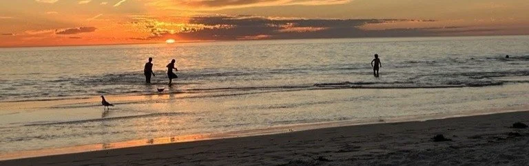 People walking and birds on the beach at sunset.