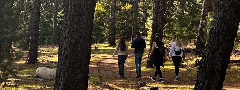 NDIS participant and support worker go for a forest walk