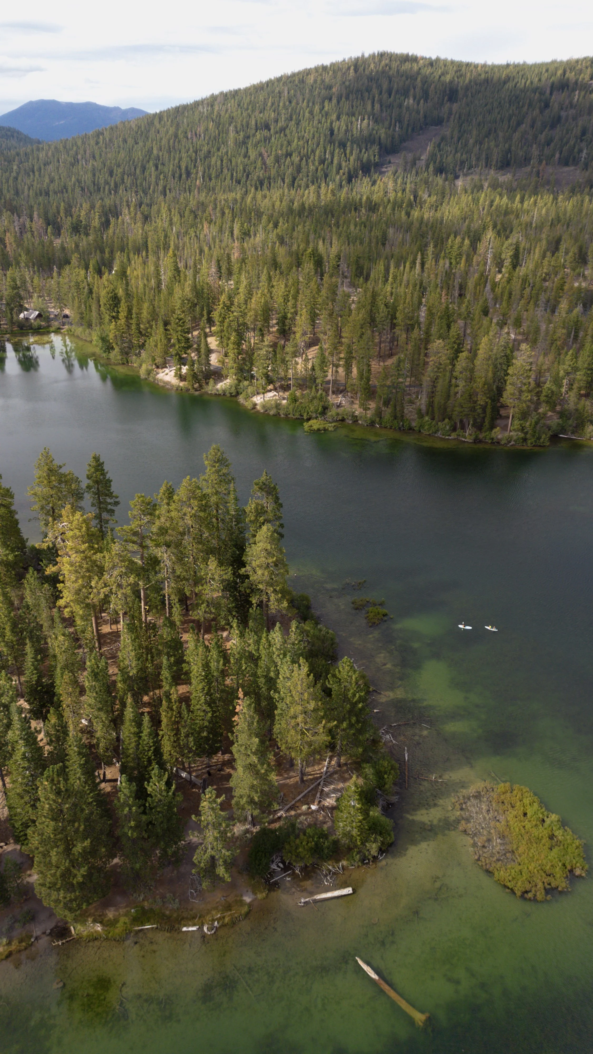Vue aérienne d'un lac entouré de forêts de conifères dans une région montagneuse.