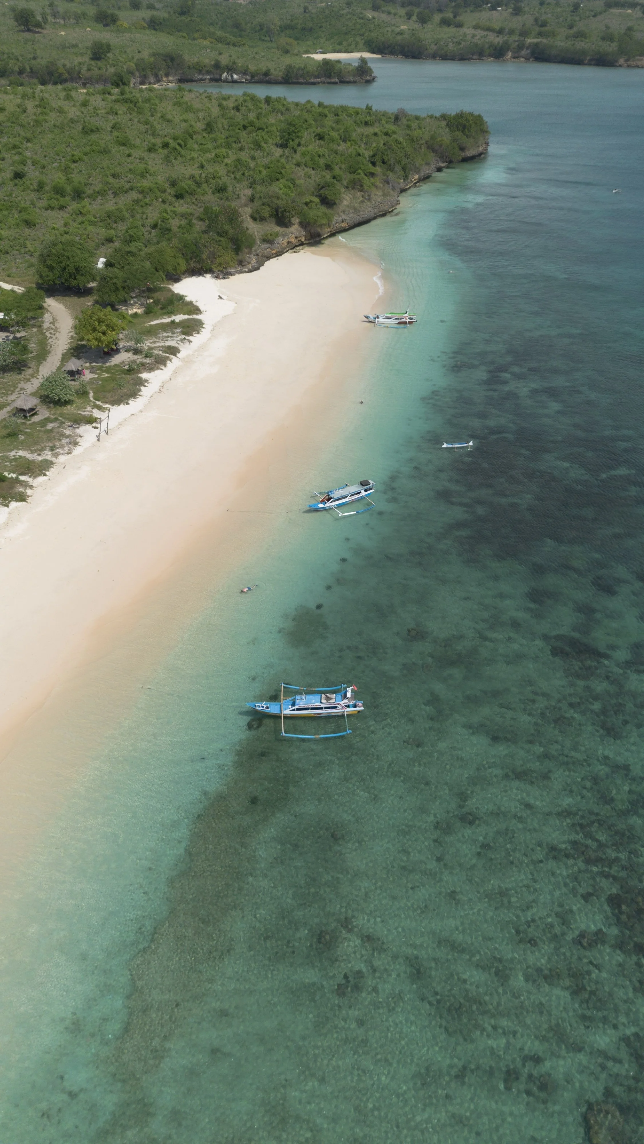 Plage de sable blanc bordée d'eau turquoise claire, avec plusieurs bateaux ancrés et entourée de végétation verte dense.