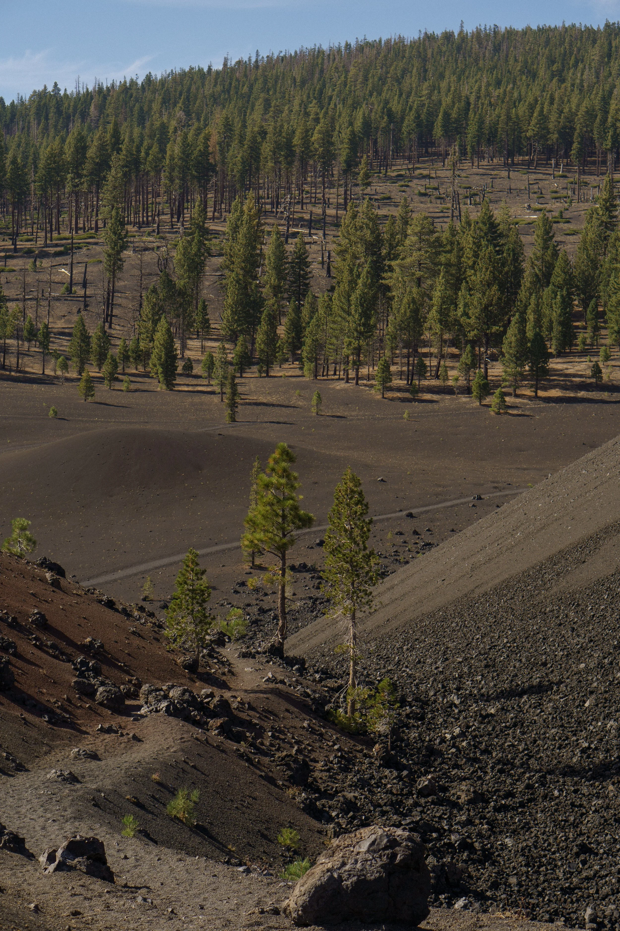 Paysage de forêt avec arbres verts, terrain rocheux et volcans en arrière-plan.