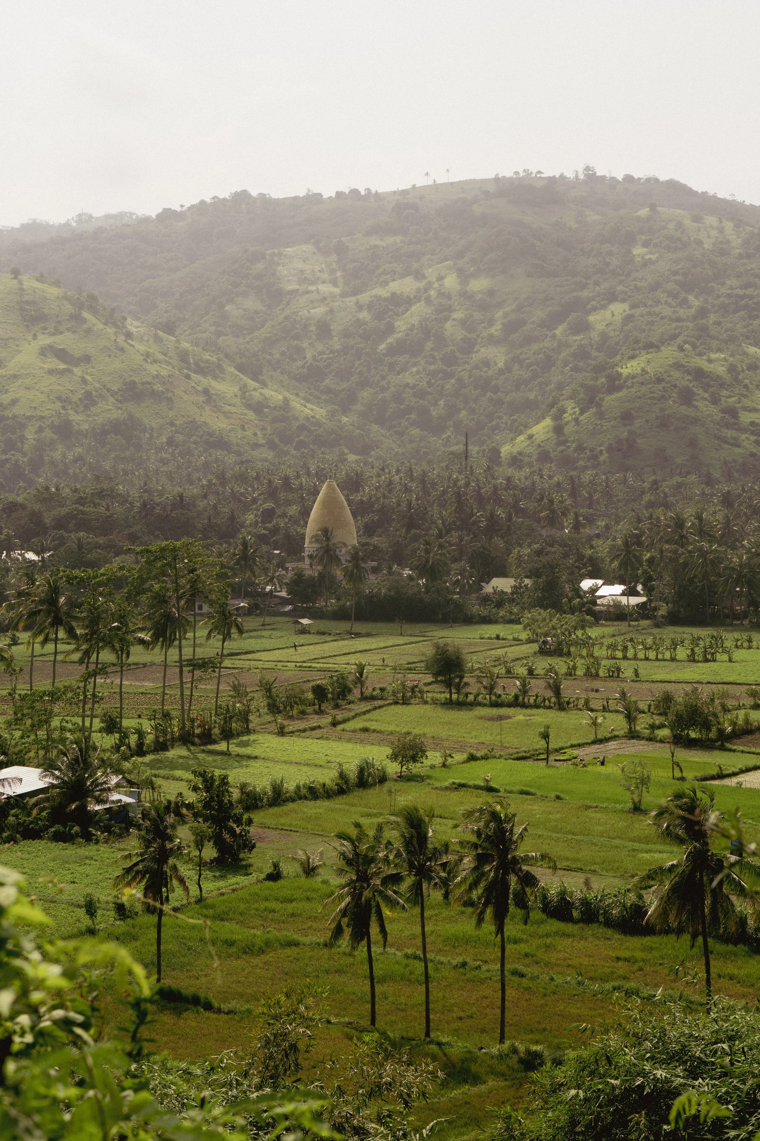 Paysage verdoyant avec des montagnes en arrière-plan, des plantations agricoles et un bâtiment avec une forme d'œuf. Palmier et arbres dispersés dans la vallée.