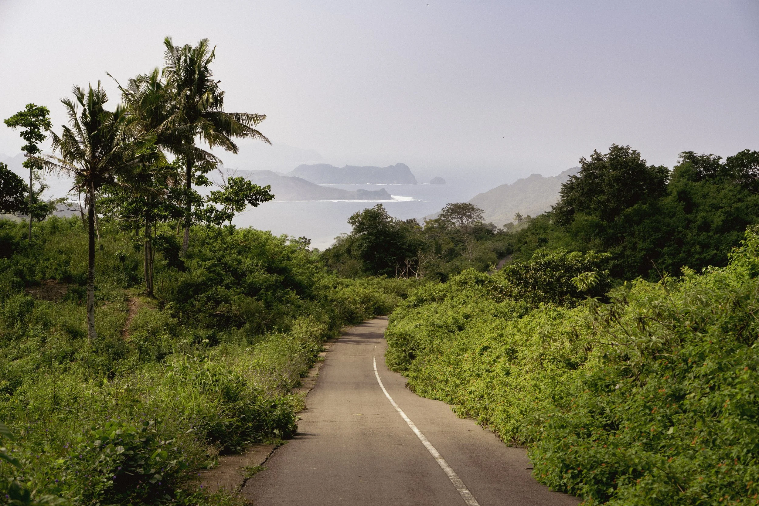 Une route étroite traversant une forêt tropicale luxuriante avec des palmiers, menant vers la mer avec des montagnes en arrière-plan, sous un ciel légèrement nuageux.