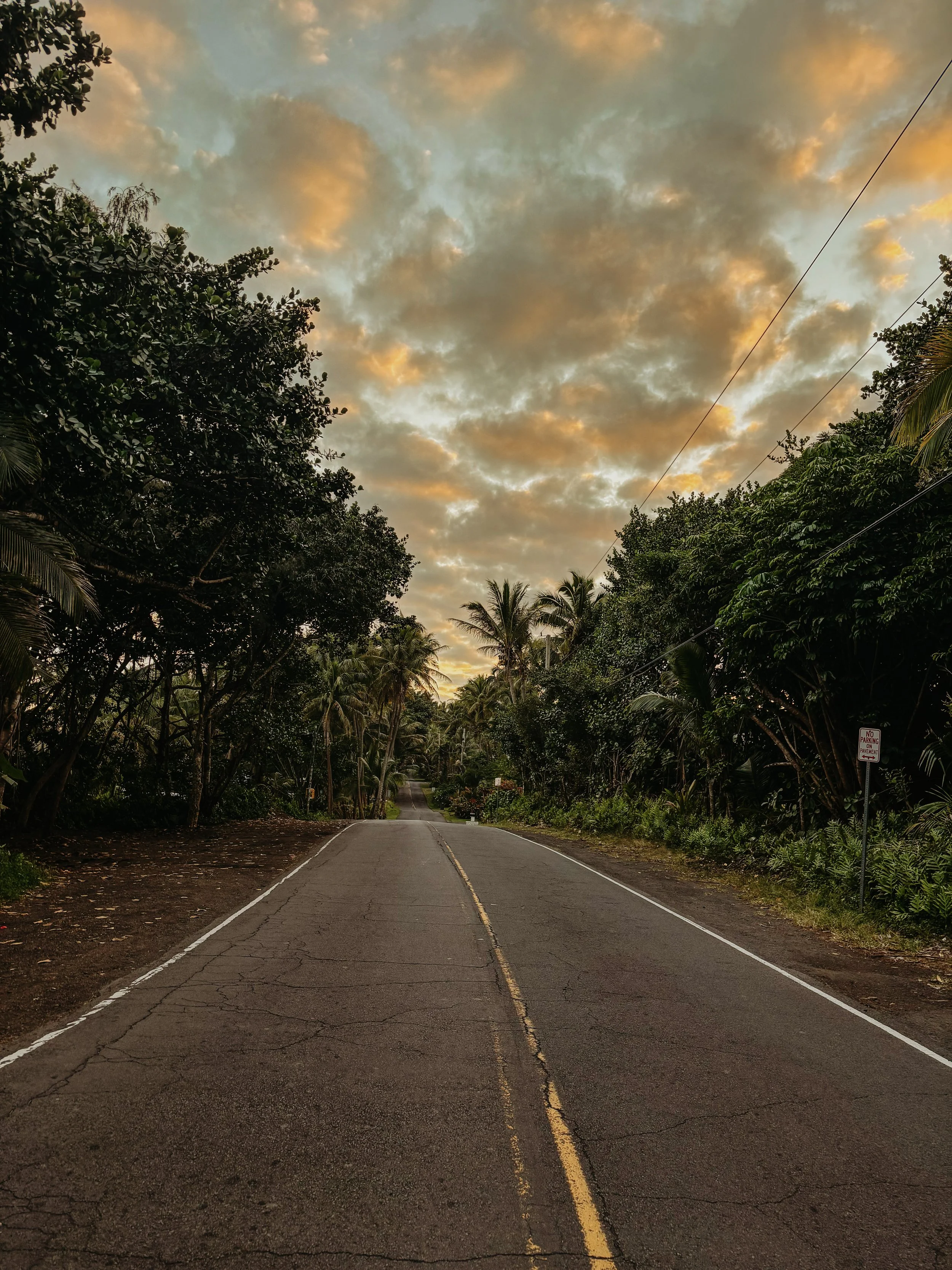 Une route déserte entourée d'arbres et de végétation sous un ciel nuageux avec des couleurs chaudes de coucher de soleil.