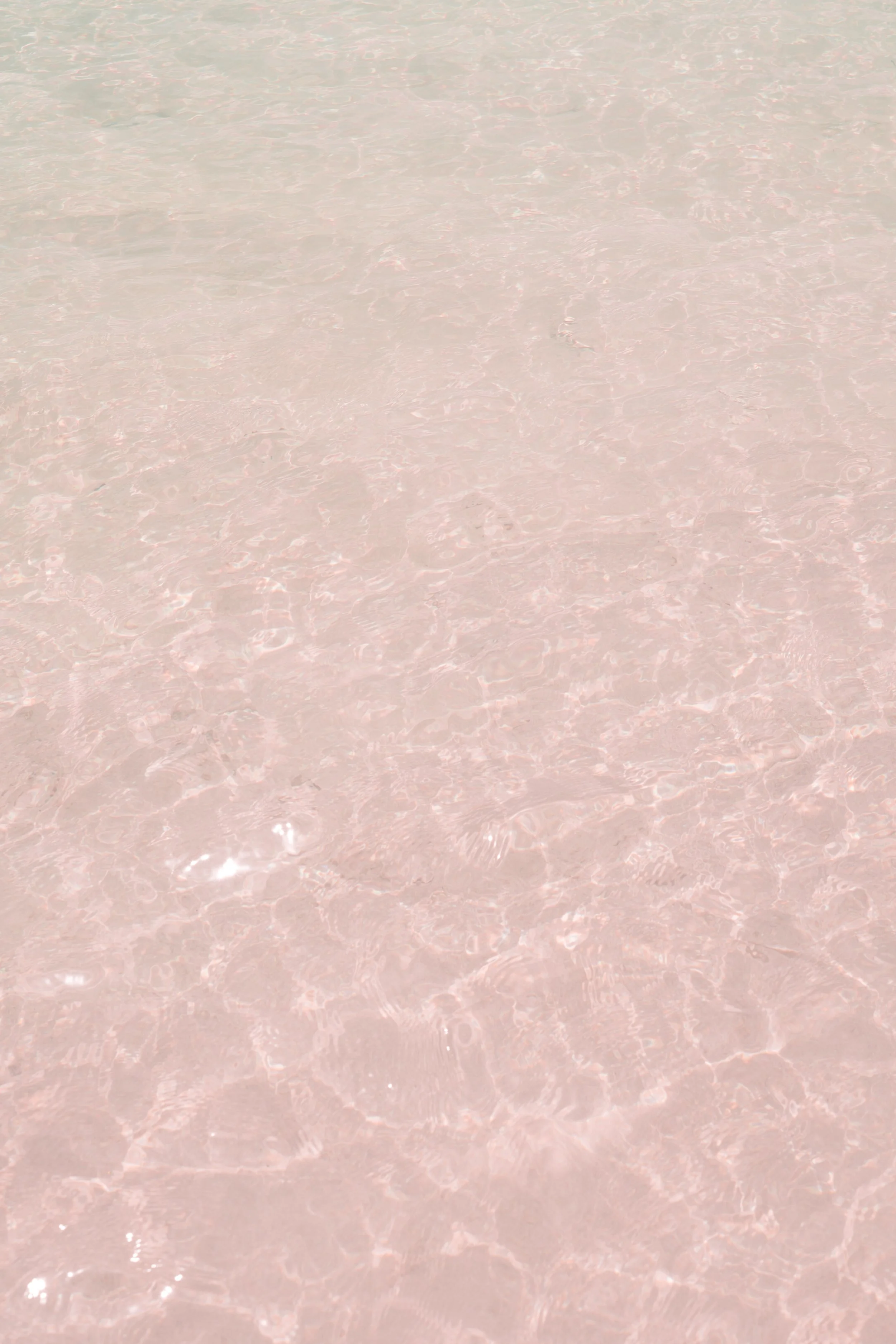 Eau pastel rose transparente, reflétant la lumière, surface calme et claire.