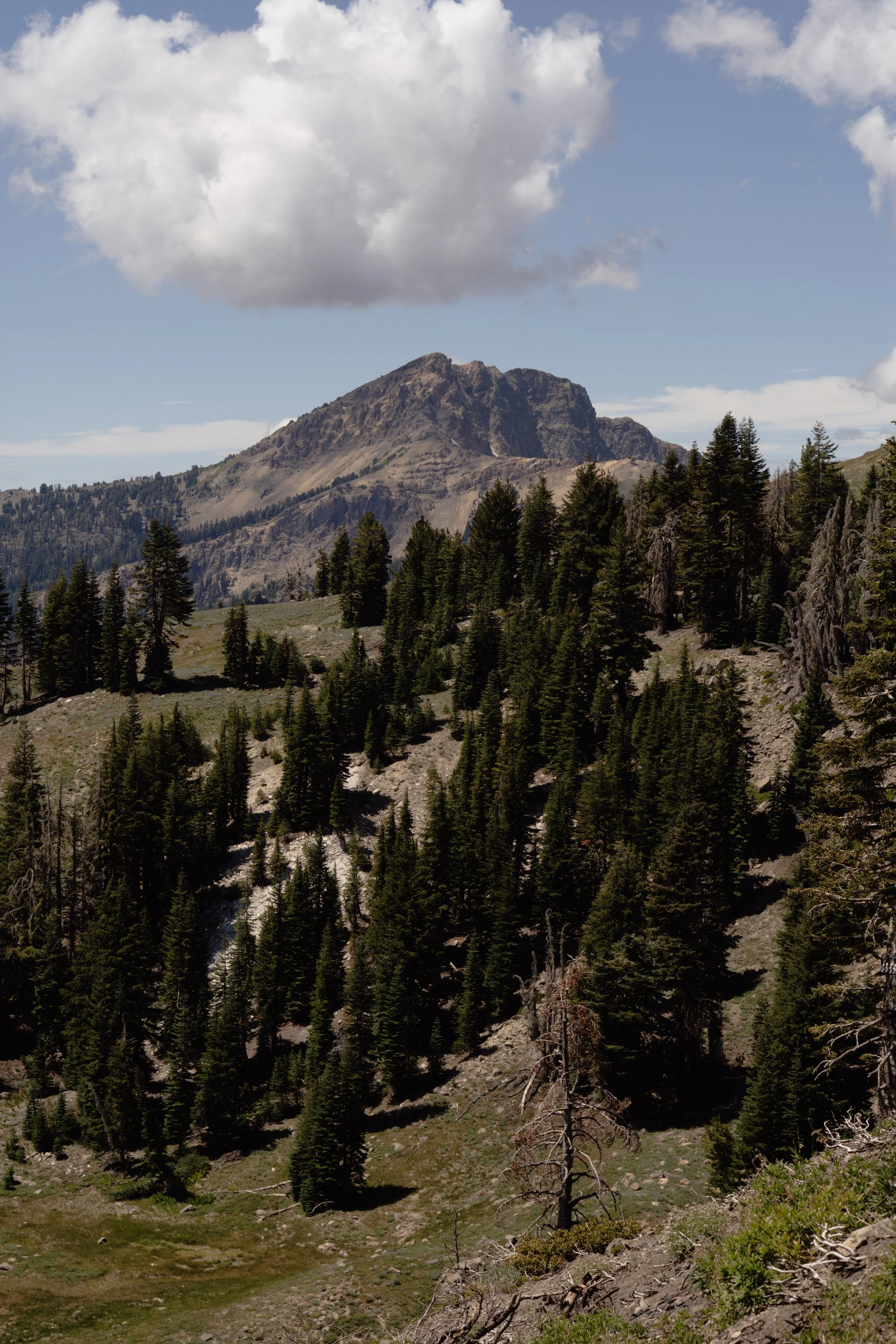 Montagne avec forêt de conifères et ciel partiellement nuageux