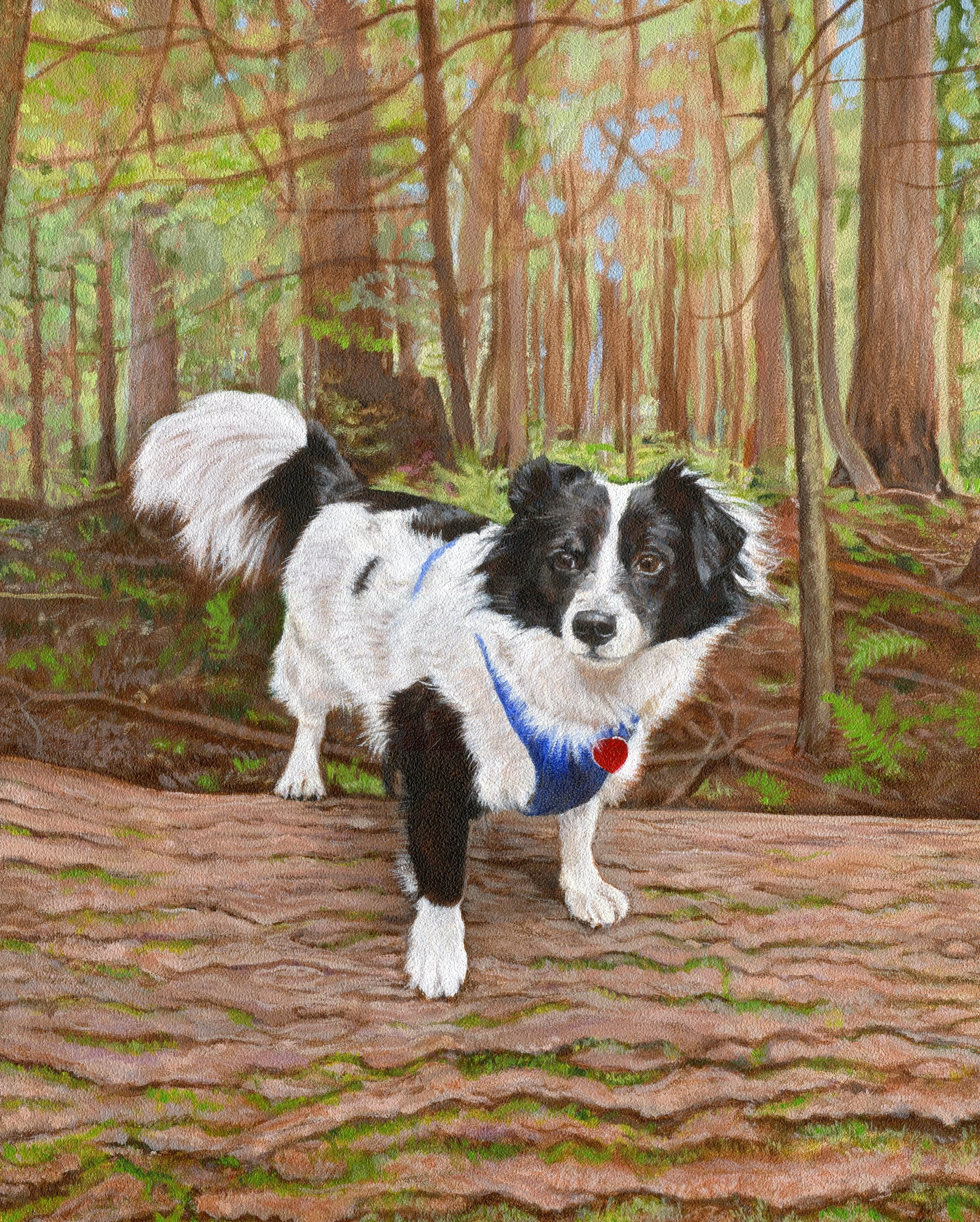 Rylee 2026 11x14.jpg