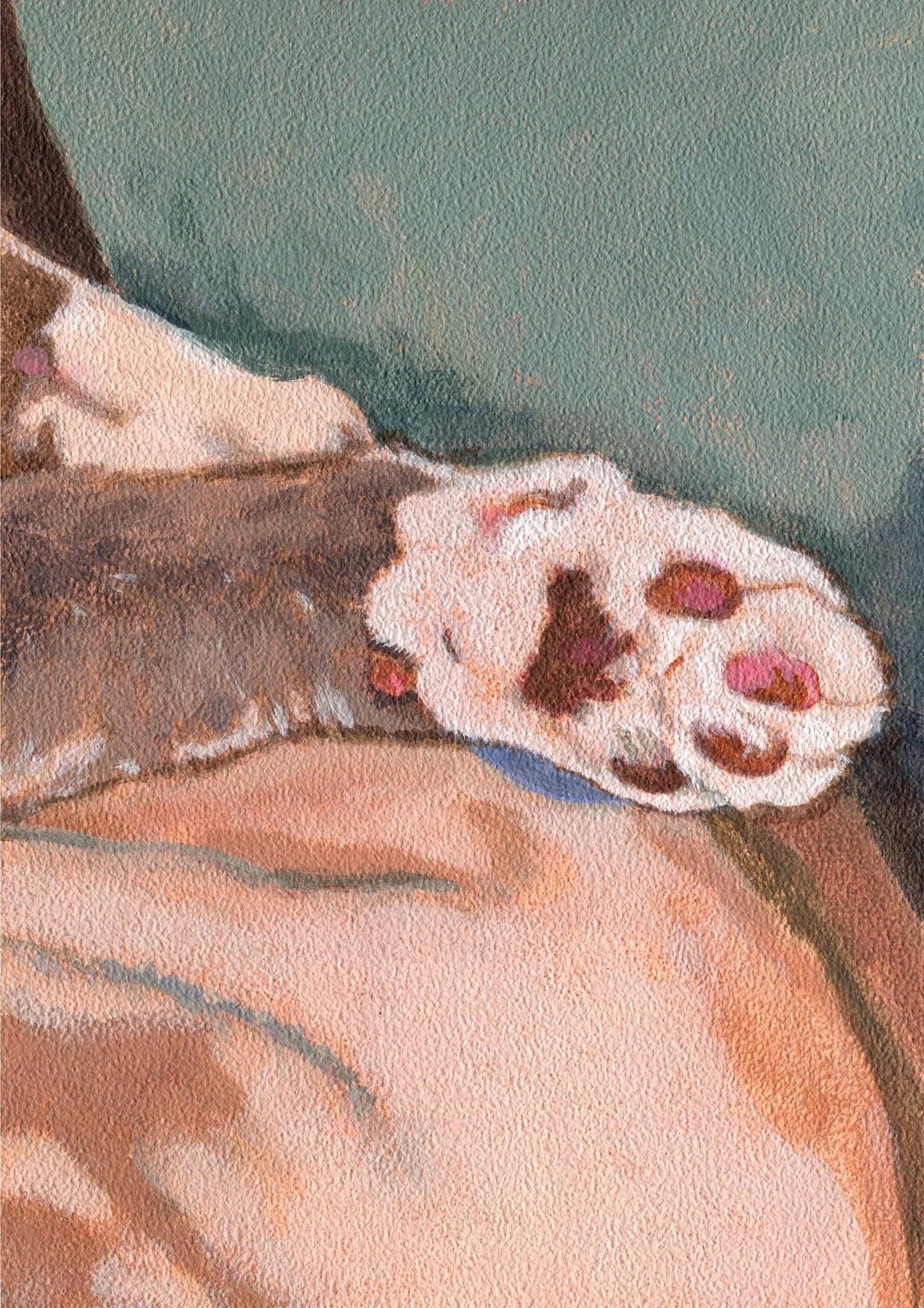 Cat's toe beans