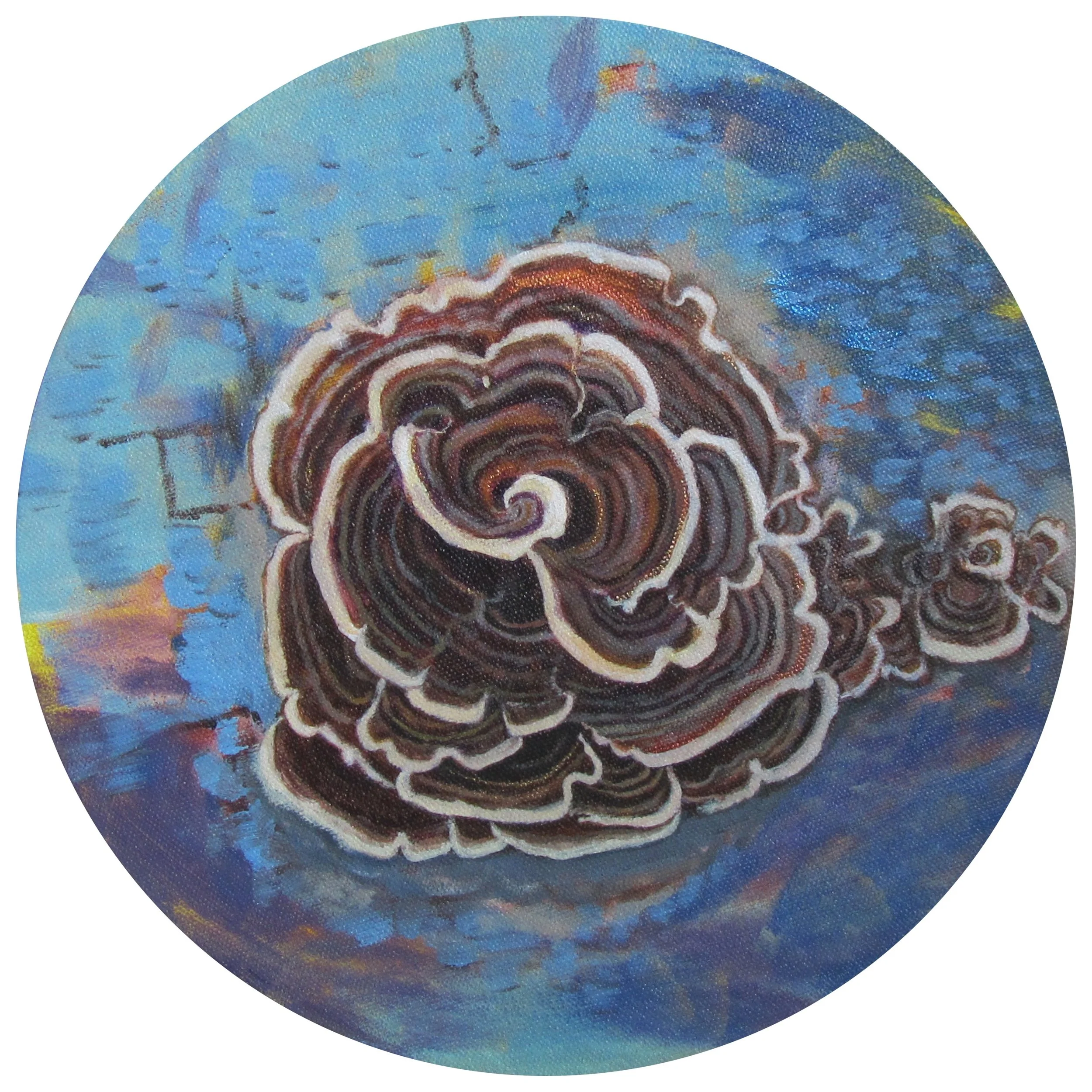 turkeytail mushroom art trametes versicolor painting