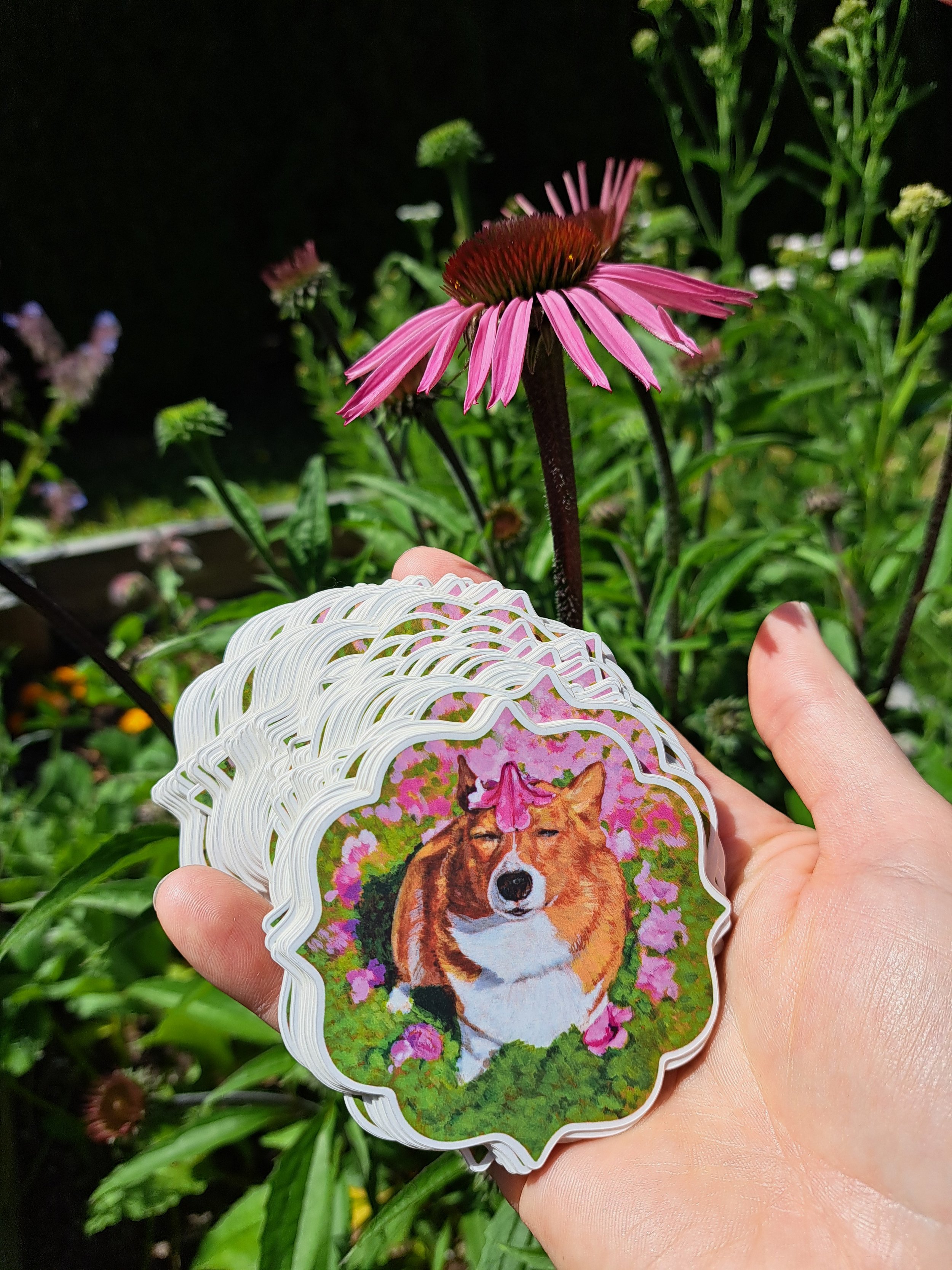 Djanga stickers echinacea.jpg