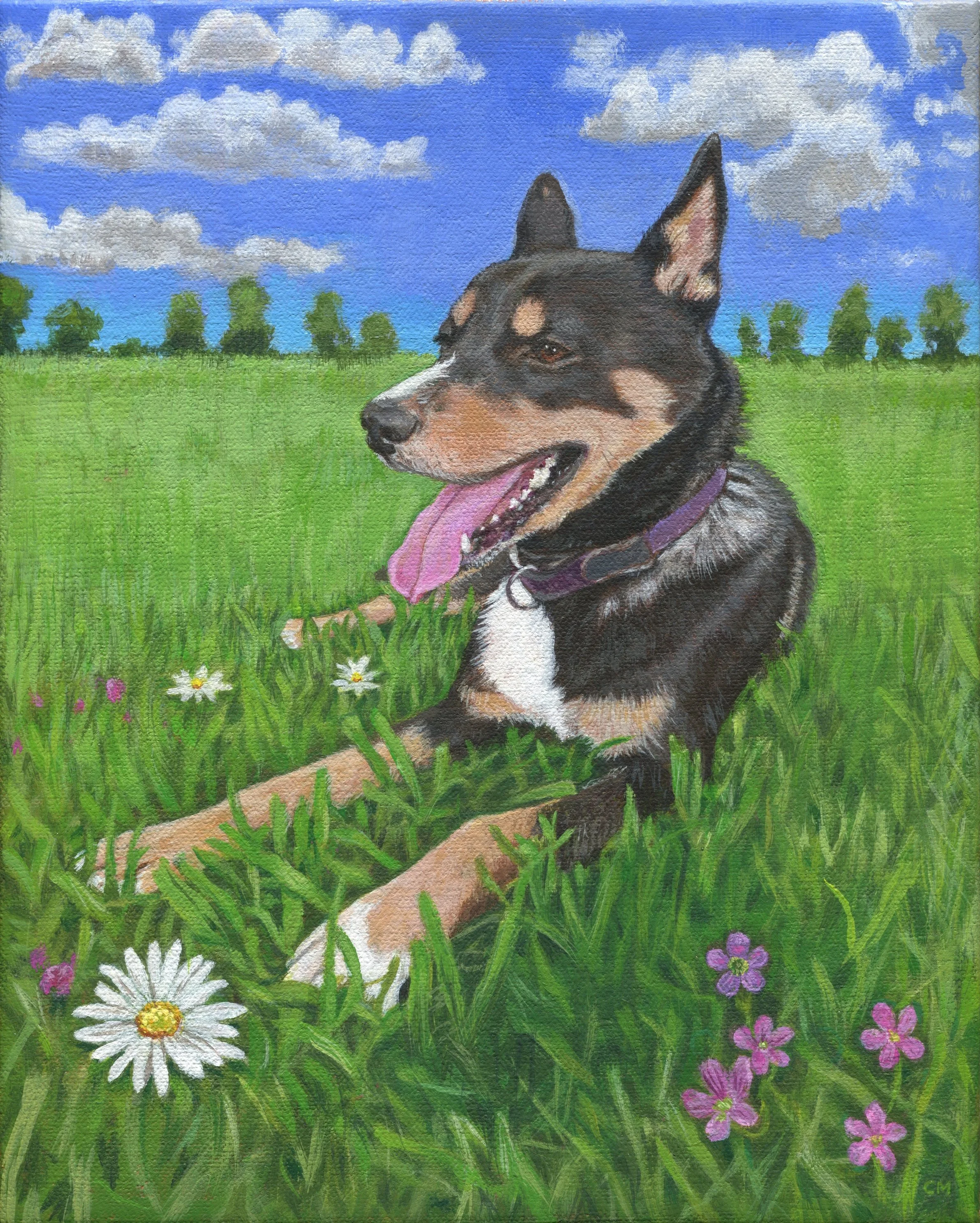 Oxi portrait 2026 2nd.jpg