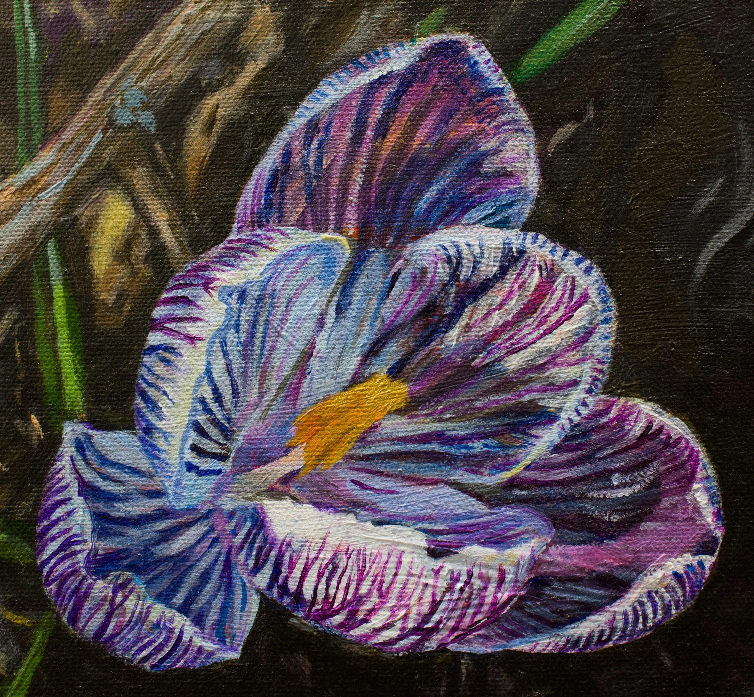 painting of a crocus flower