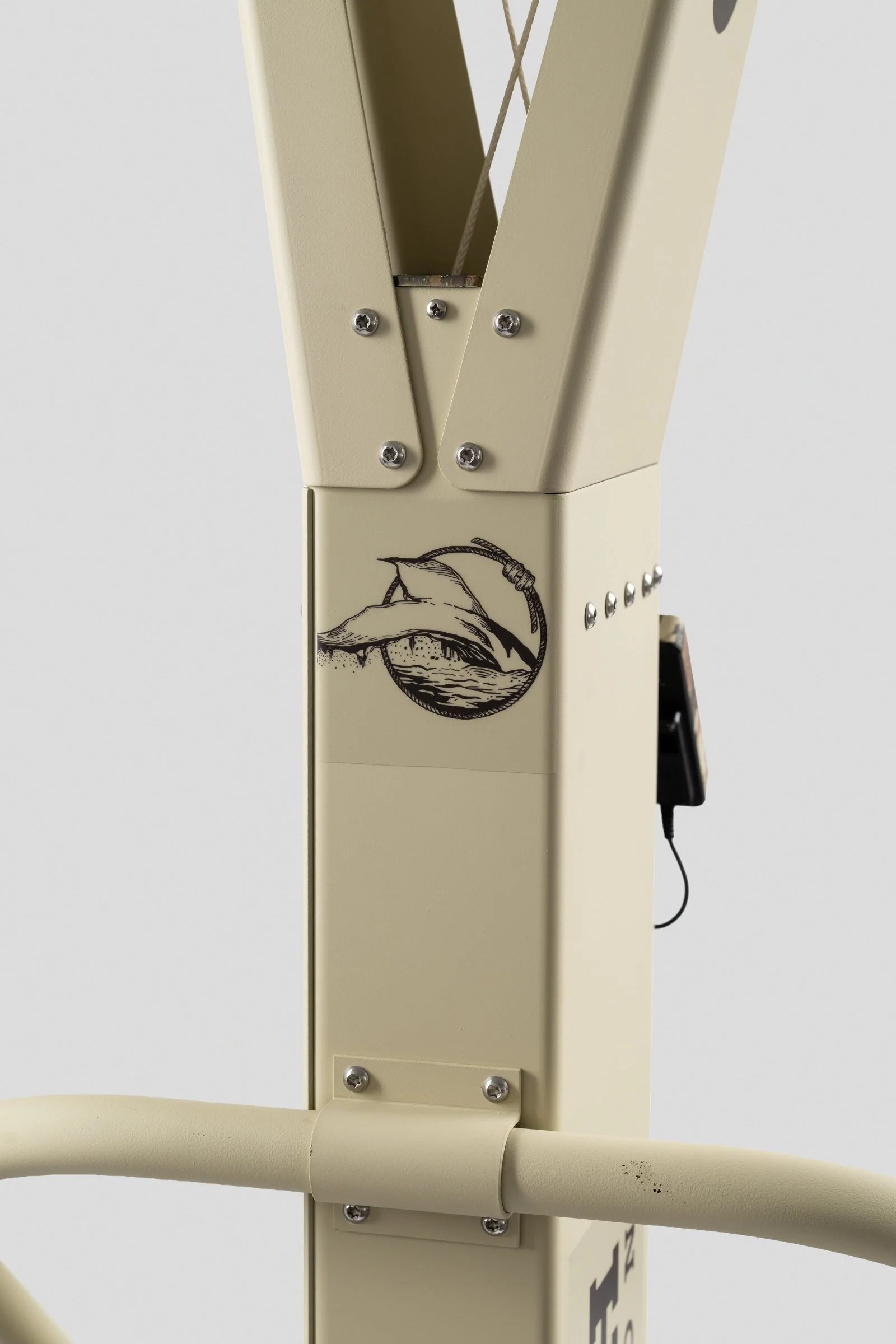 Angled view of the Big Fish emblem and frame
