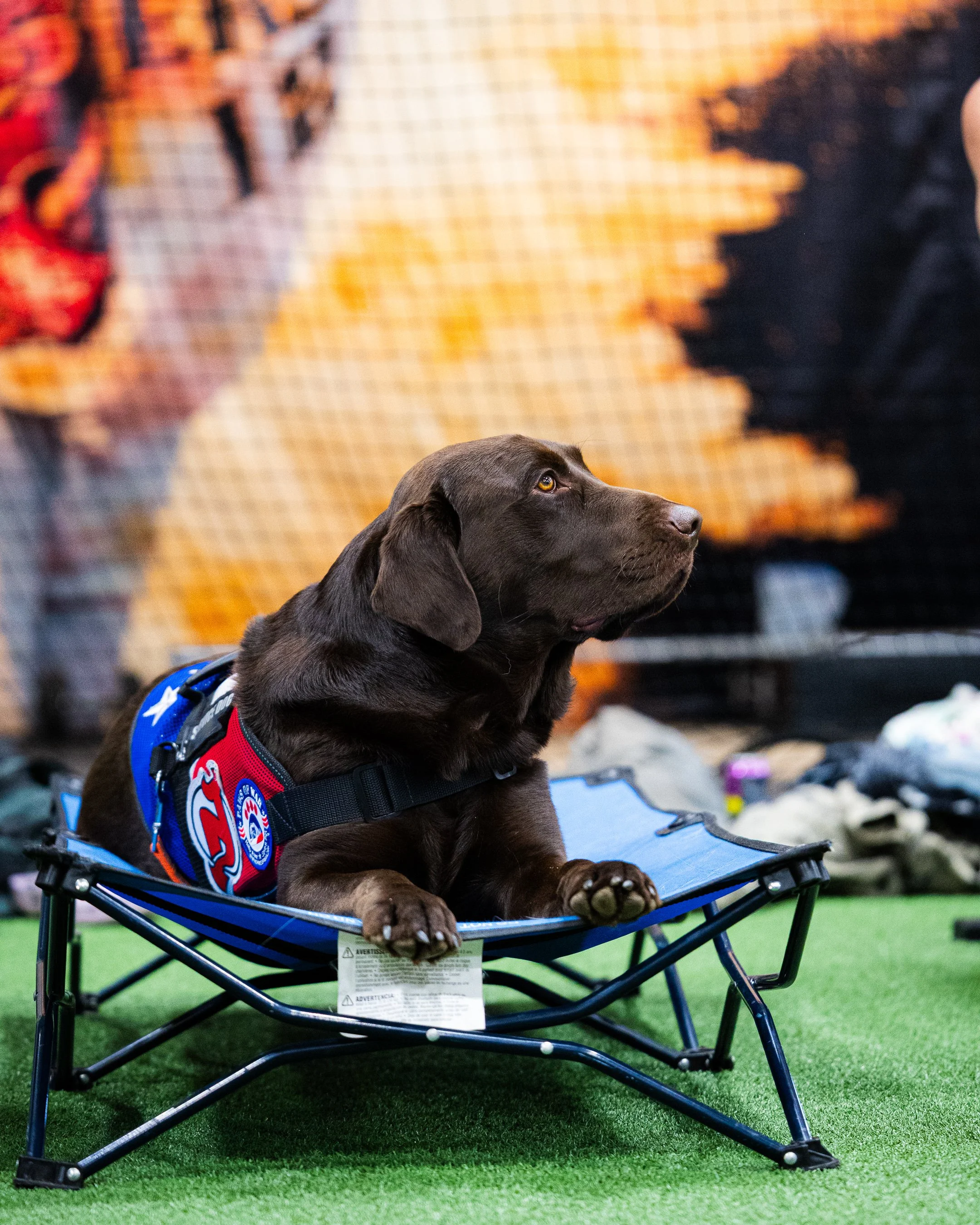 2025-11-08-DTs Row-3448.jpg