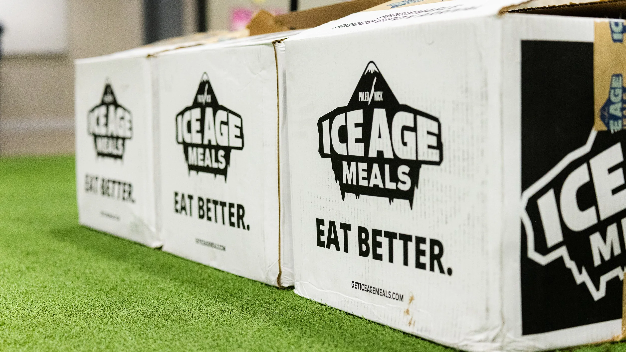 2025-11-08-DTs Row-3073.jpg