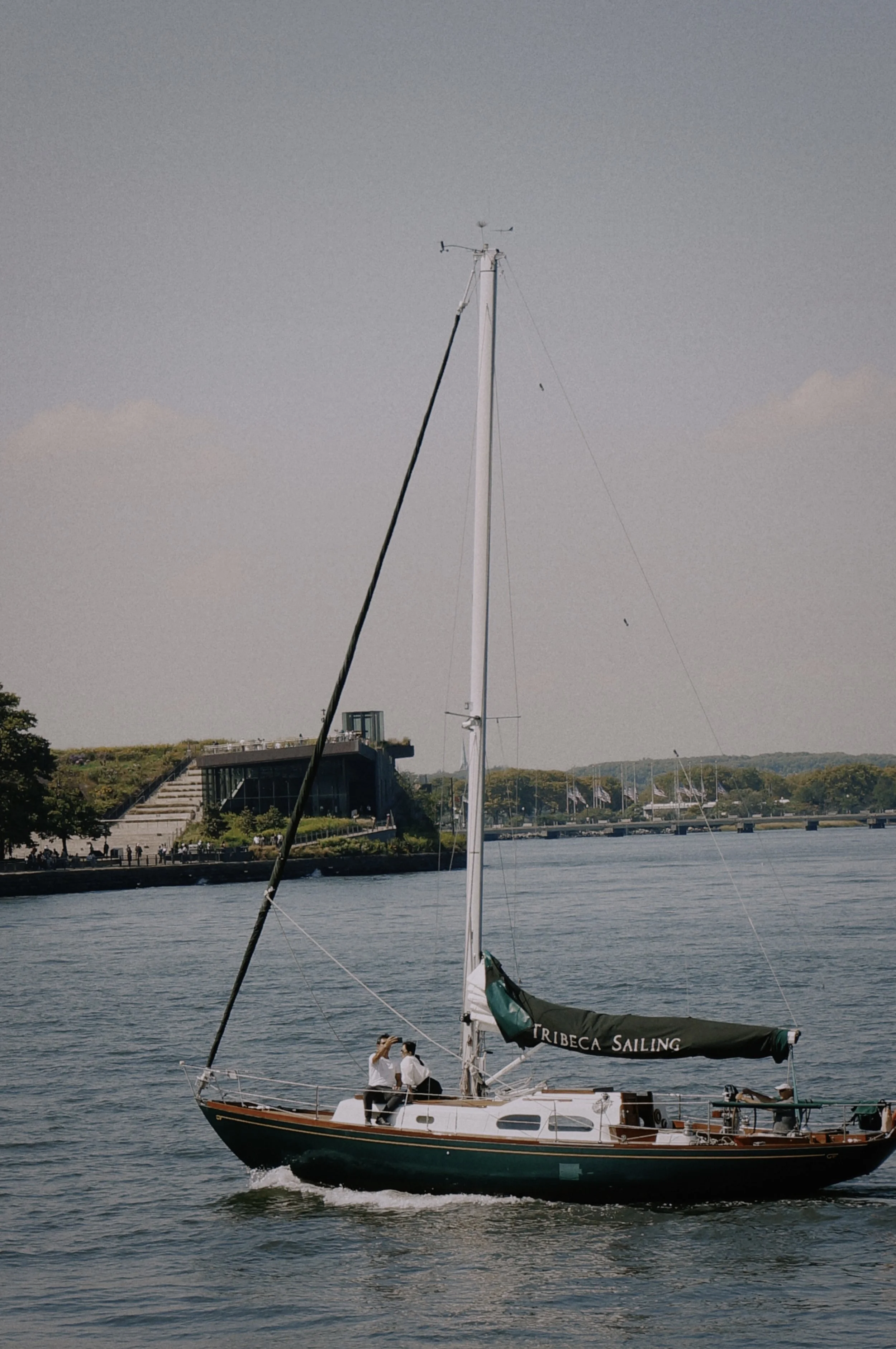 Tezza-3348 2.jpg