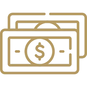 Cash icon