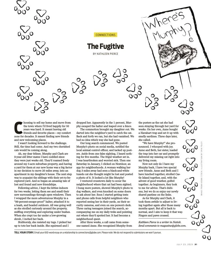 7_23MagazinePages copy.jpg