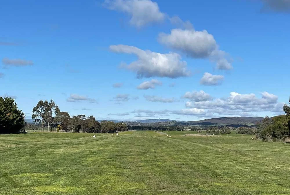 Open grassy field under a partly cloudy blue sky with trees on the horizon and distant hills.