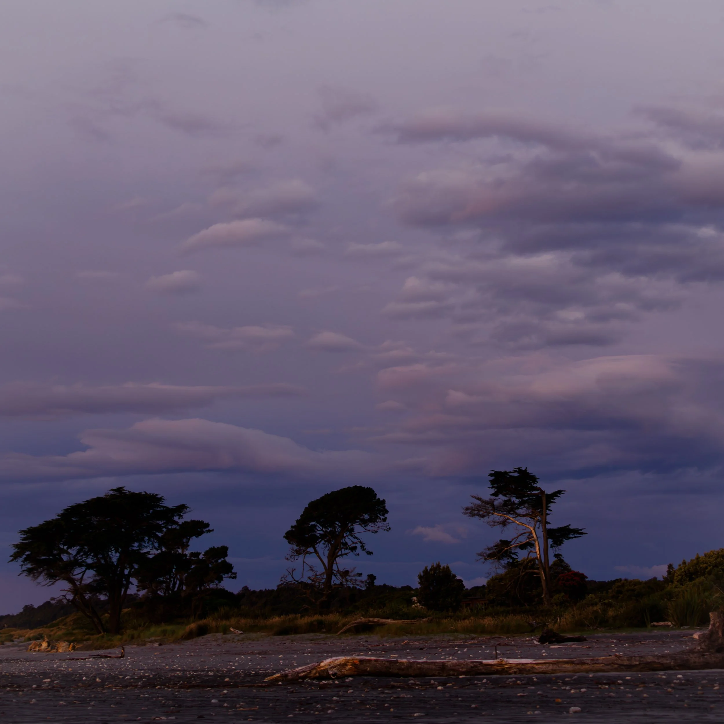 Charleston_ 1575-Enhanced-NRweb.jpg