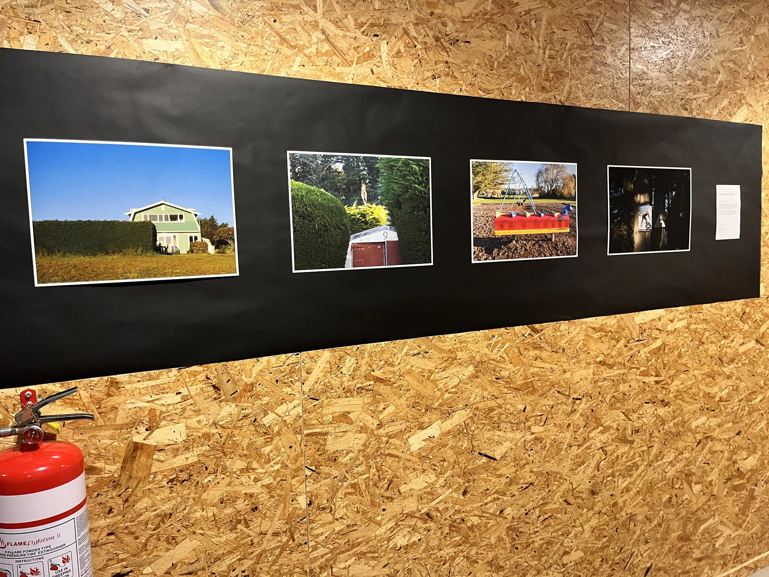 Exhibition Photosynthesis 